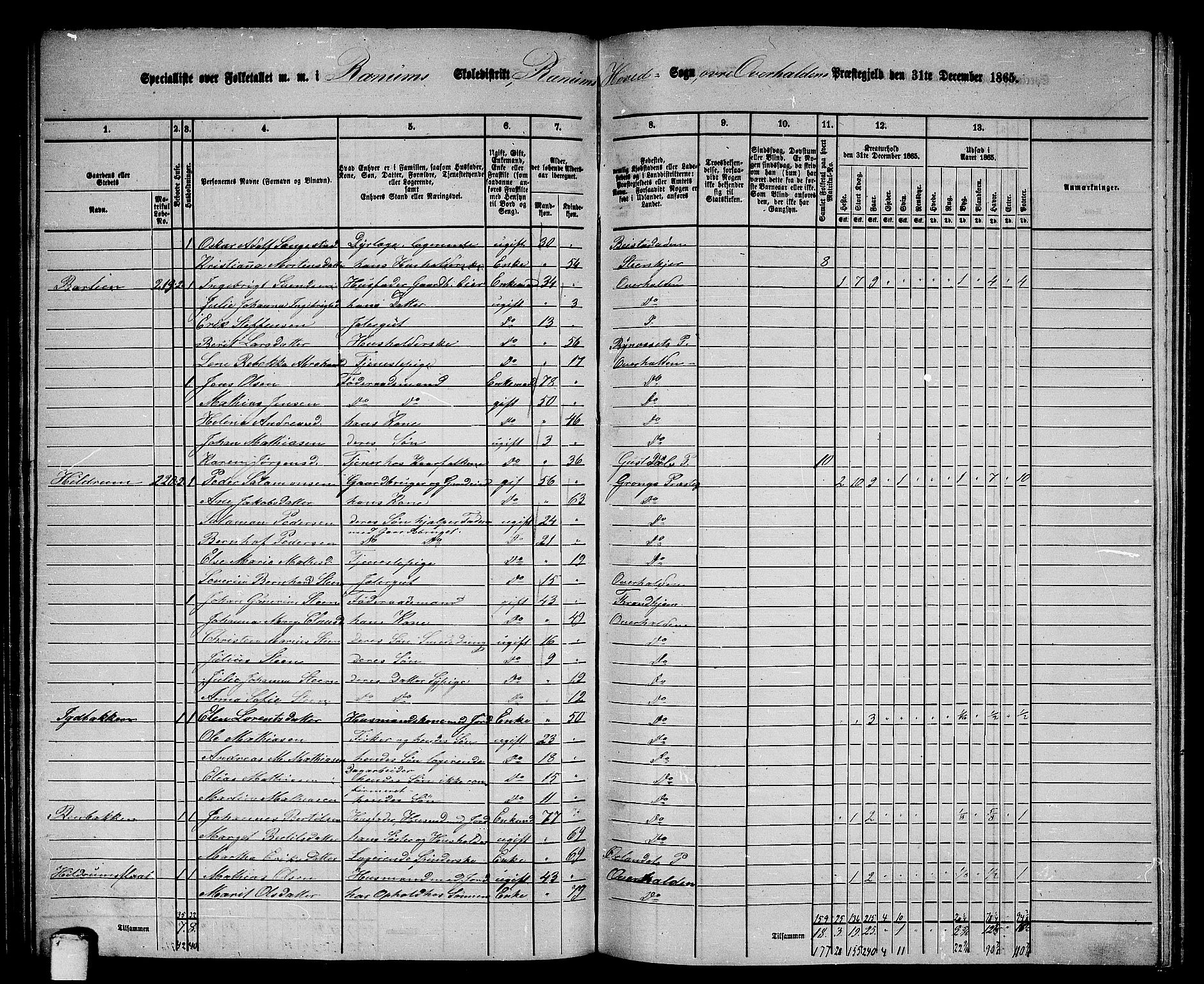 RA, Folketelling 1865 for 1744P Overhalla prestegjeld, 1865, s. 13
