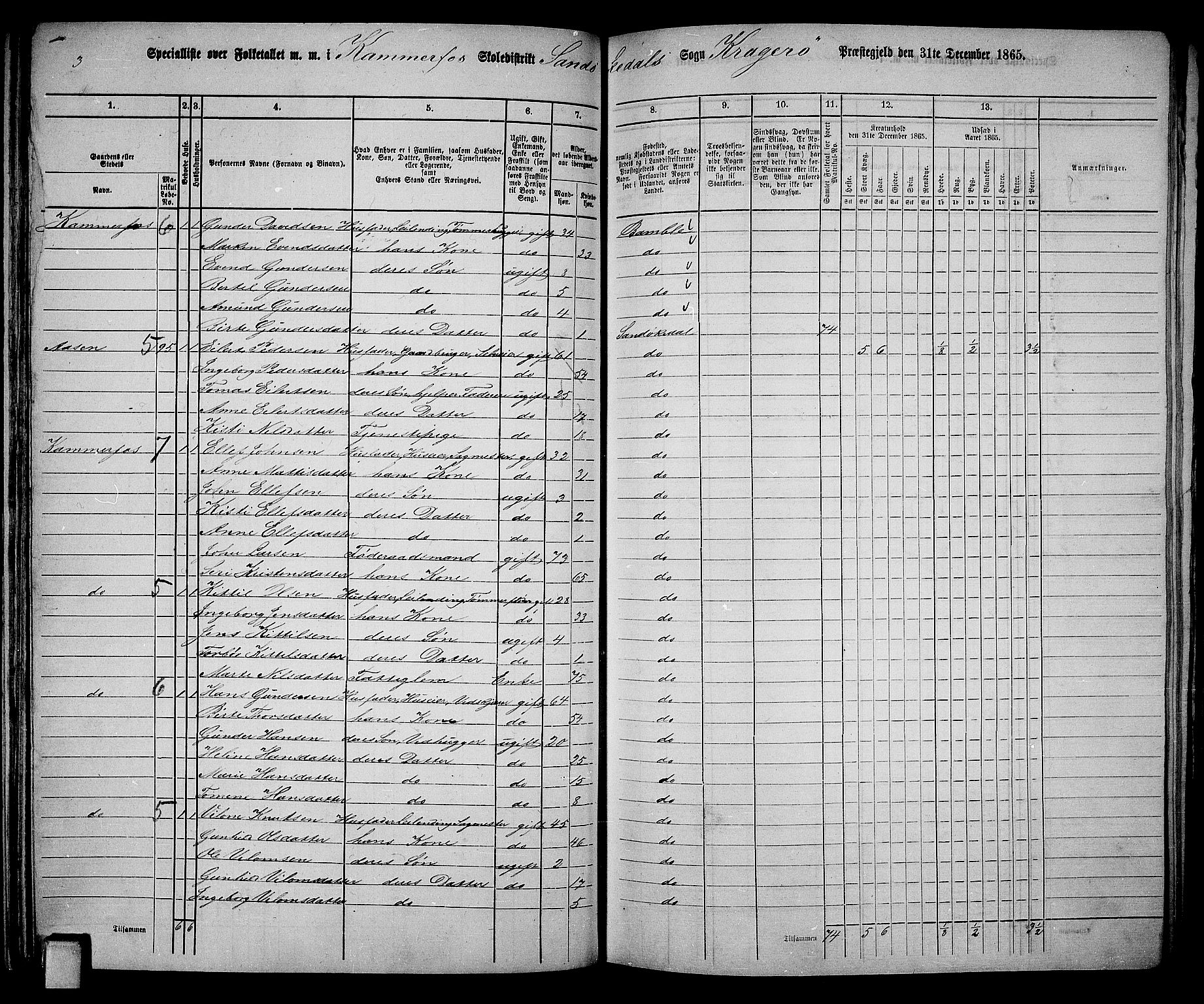 RA, Folketelling 1865 for 0816L Kragerø prestegjeld, Sannidal sokn og Skåtøy sokn, 1865, s. 80