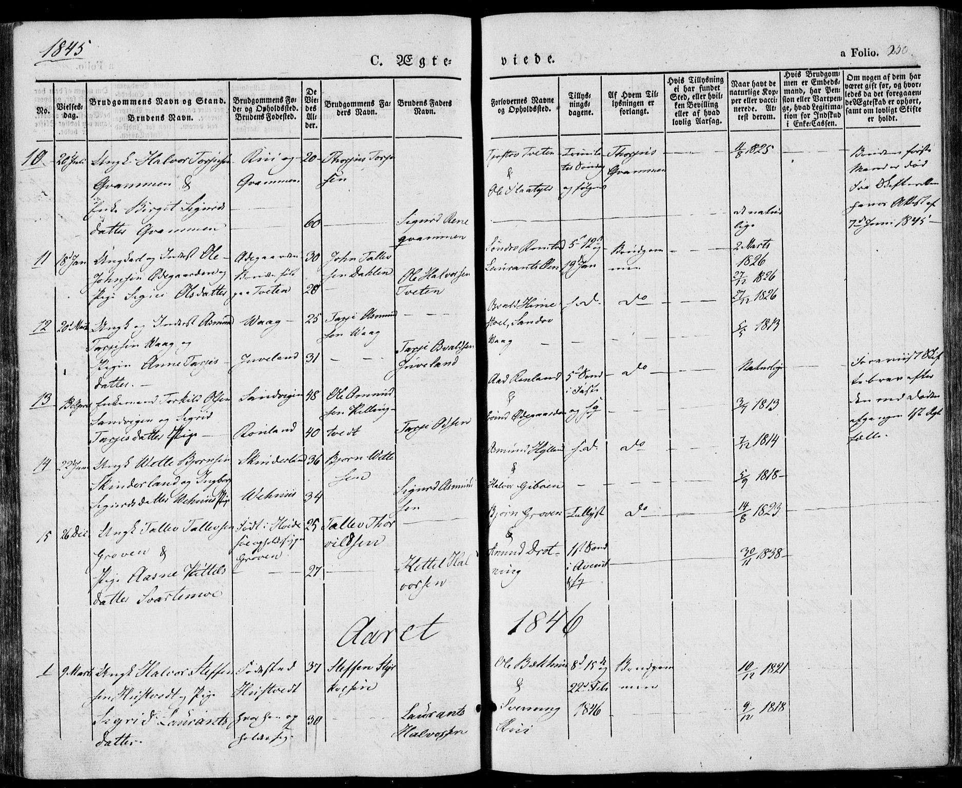 Vinje kirkebøker, AV/SAKO-A-312/F/Fa/L0004: Ministerialbok nr. I 4, 1843-1869, s. 250