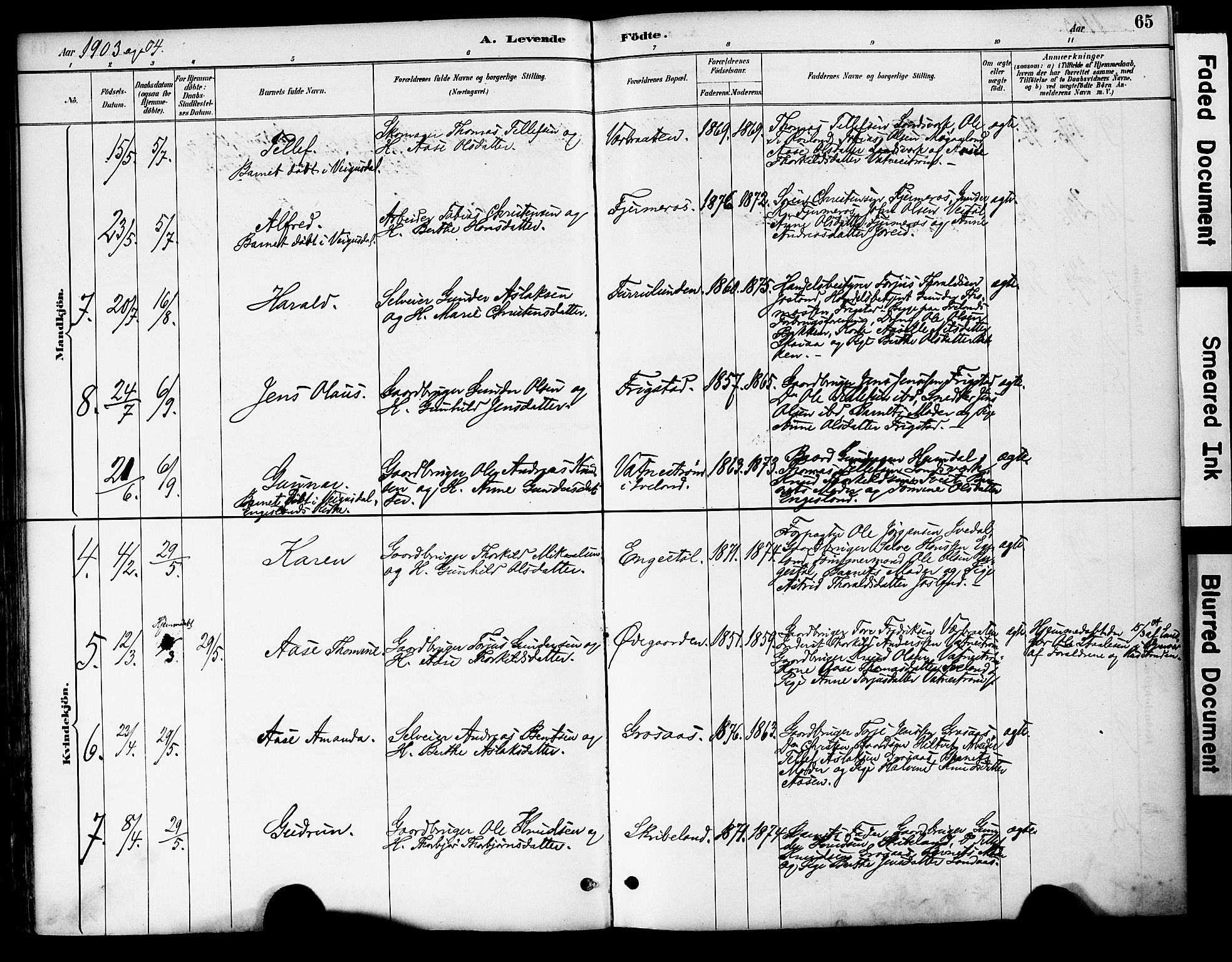 Evje sokneprestkontor, AV/SAK-1111-0008/F/Fa/Fac/L0003: Ministerialbok nr. A 3, 1884-1909, s. 65