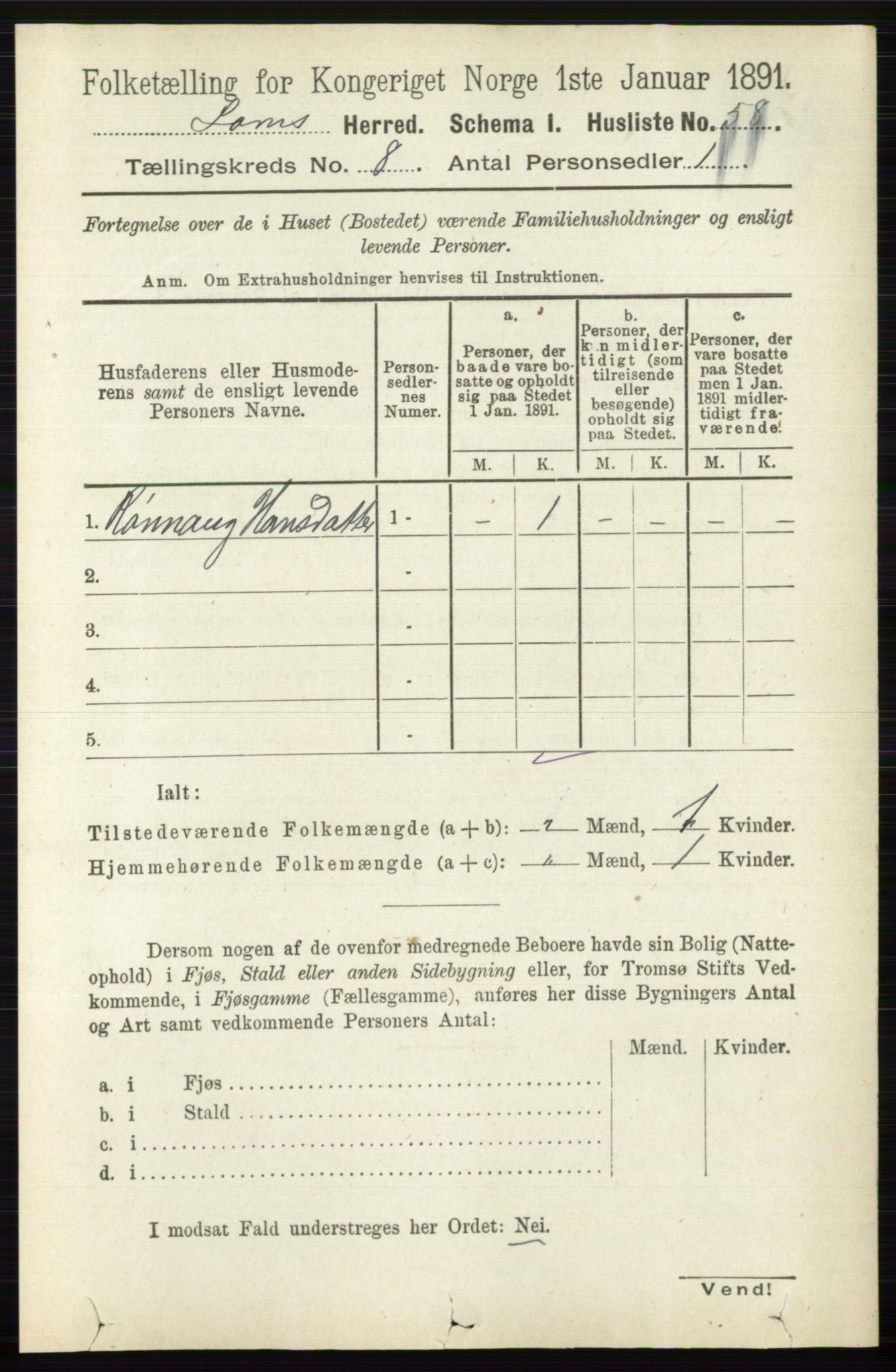 RA, Folketelling 1891 for 0514 Lom herred, 1891, s. 3100