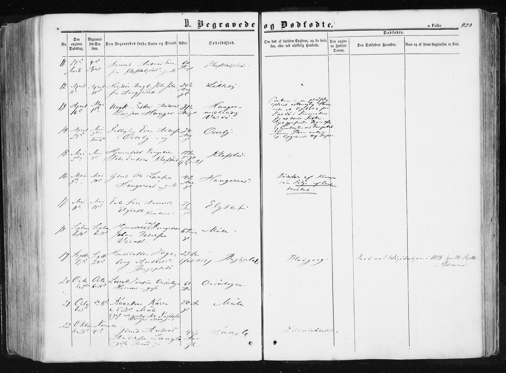 Ministerialprotokoller, klokkerbøker og fødselsregistre - Sør-Trøndelag, SAT/A-1456/612/L0377: Ministerialbok nr. 612A09, 1859-1877, s. 423
