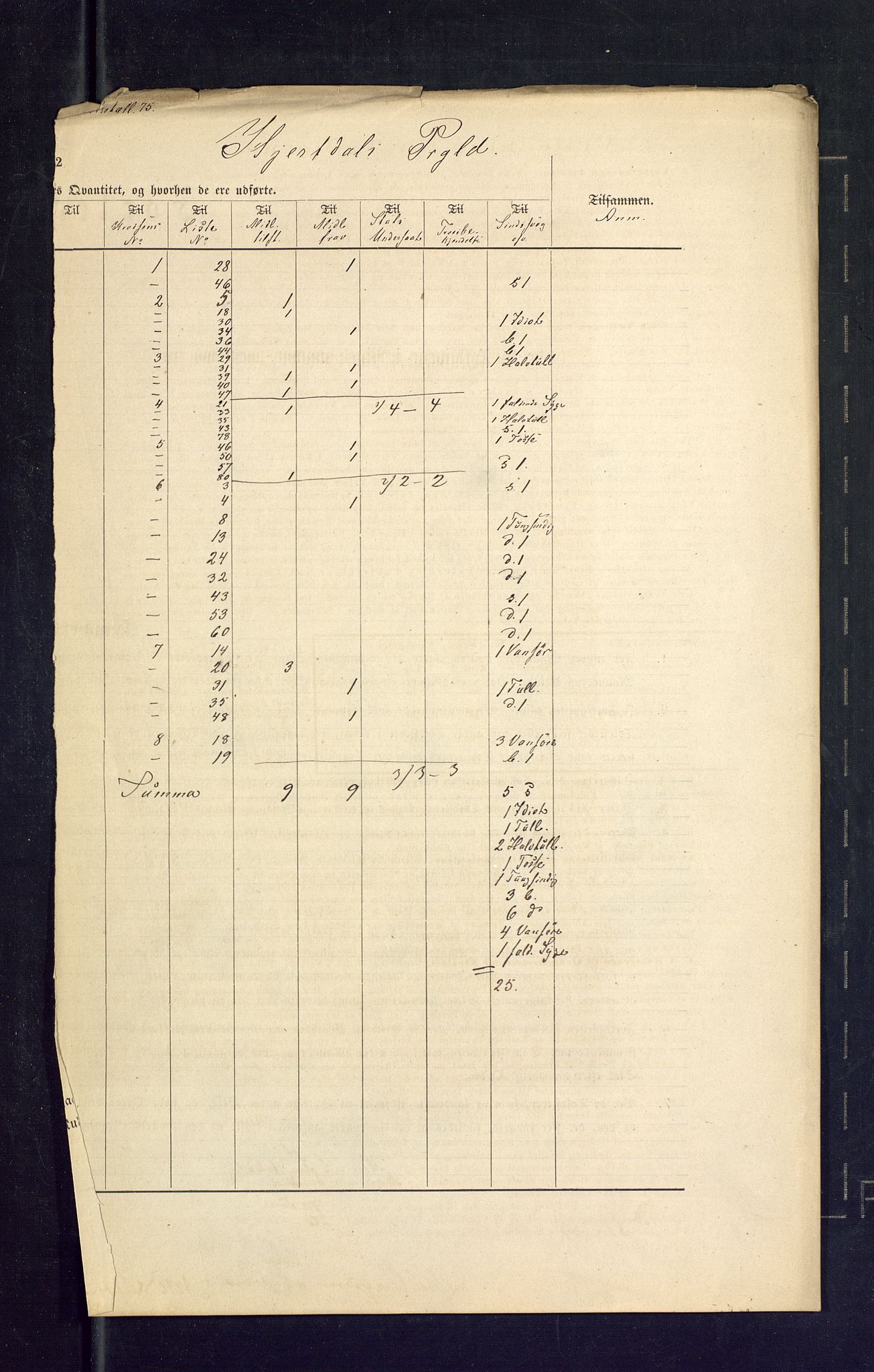 SAKO, Folketelling 1875 for 0827P Hjartdal prestegjeld, 1875, s. 37