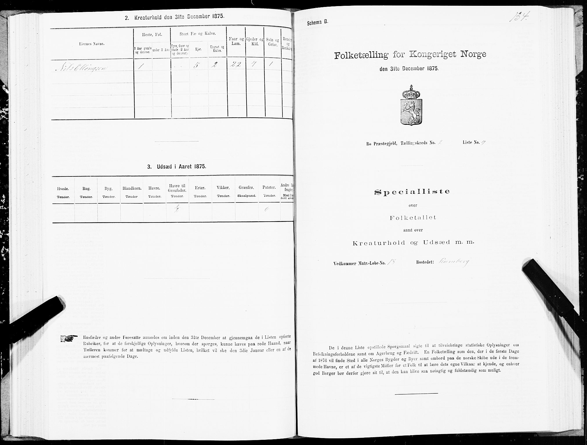 SAT, Folketelling 1875 for 1867P Bø prestegjeld, 1875, s. 1134