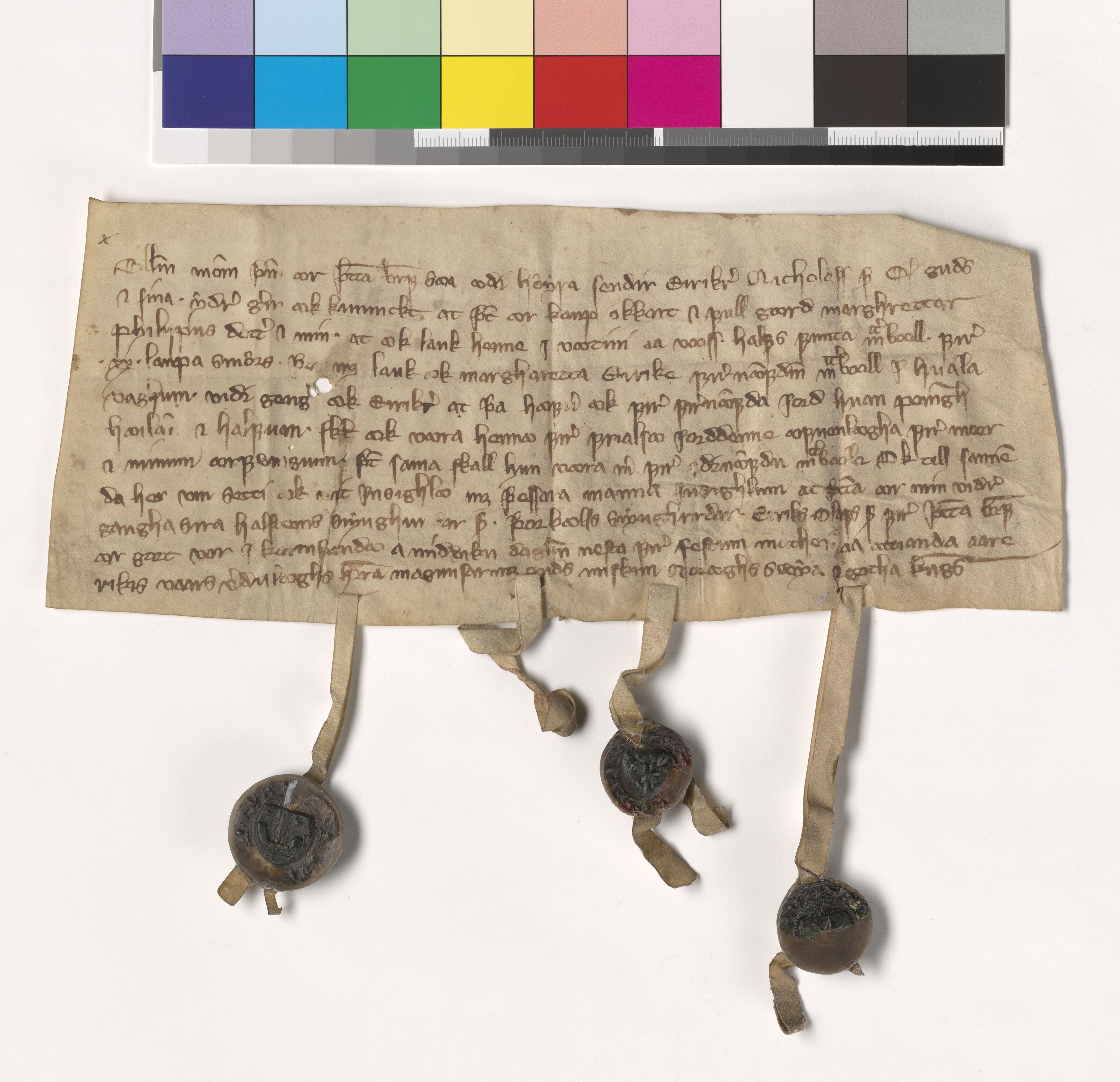 Riksarkivets diplomsamling, AV/RA-EA-5965/F05/L0071: NRA AM fasc. 23 nr. 2-11, 1334-1345, s. 5