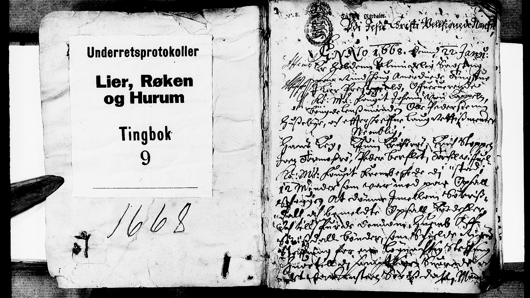 Lier, Røyken og Hurum sorenskriveri, SAKO/A-89/F/Fa/L0009: Tingbok, 1668, s. 1