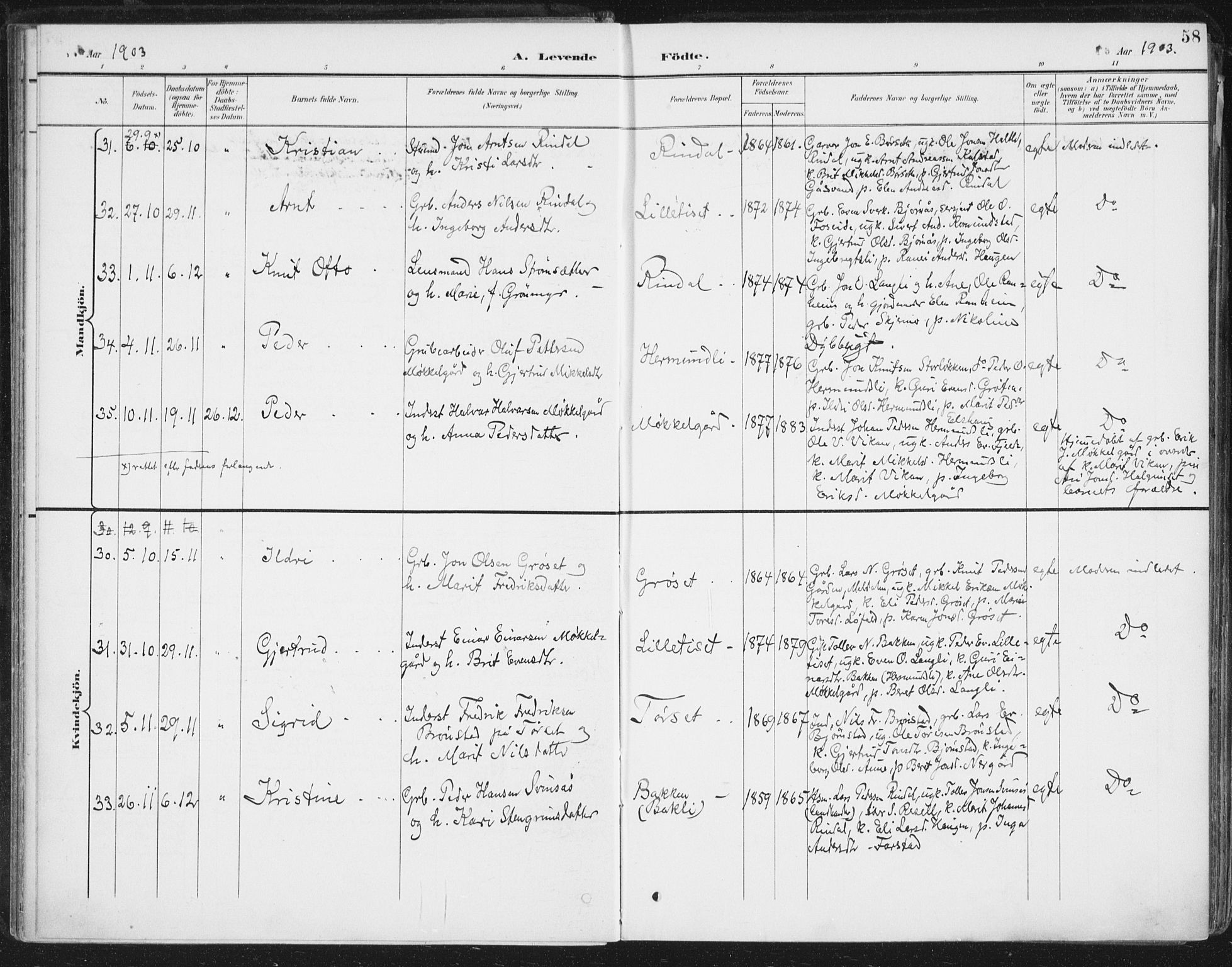 Ministerialprotokoller, klokkerbøker og fødselsregistre - Møre og Romsdal, AV/SAT-A-1454/598/L1072: Ministerialbok nr. 598A06, 1896-1910, s. 58