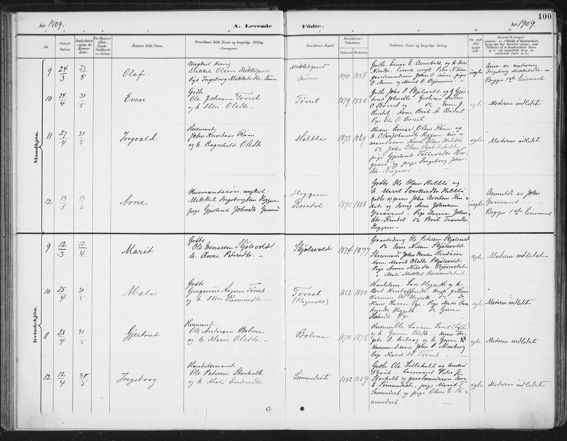 Ministerialprotokoller, klokkerbøker og fødselsregistre - Møre og Romsdal, AV/SAT-A-1454/598/L1072: Ministerialbok nr. 598A06, 1896-1910, s. 100