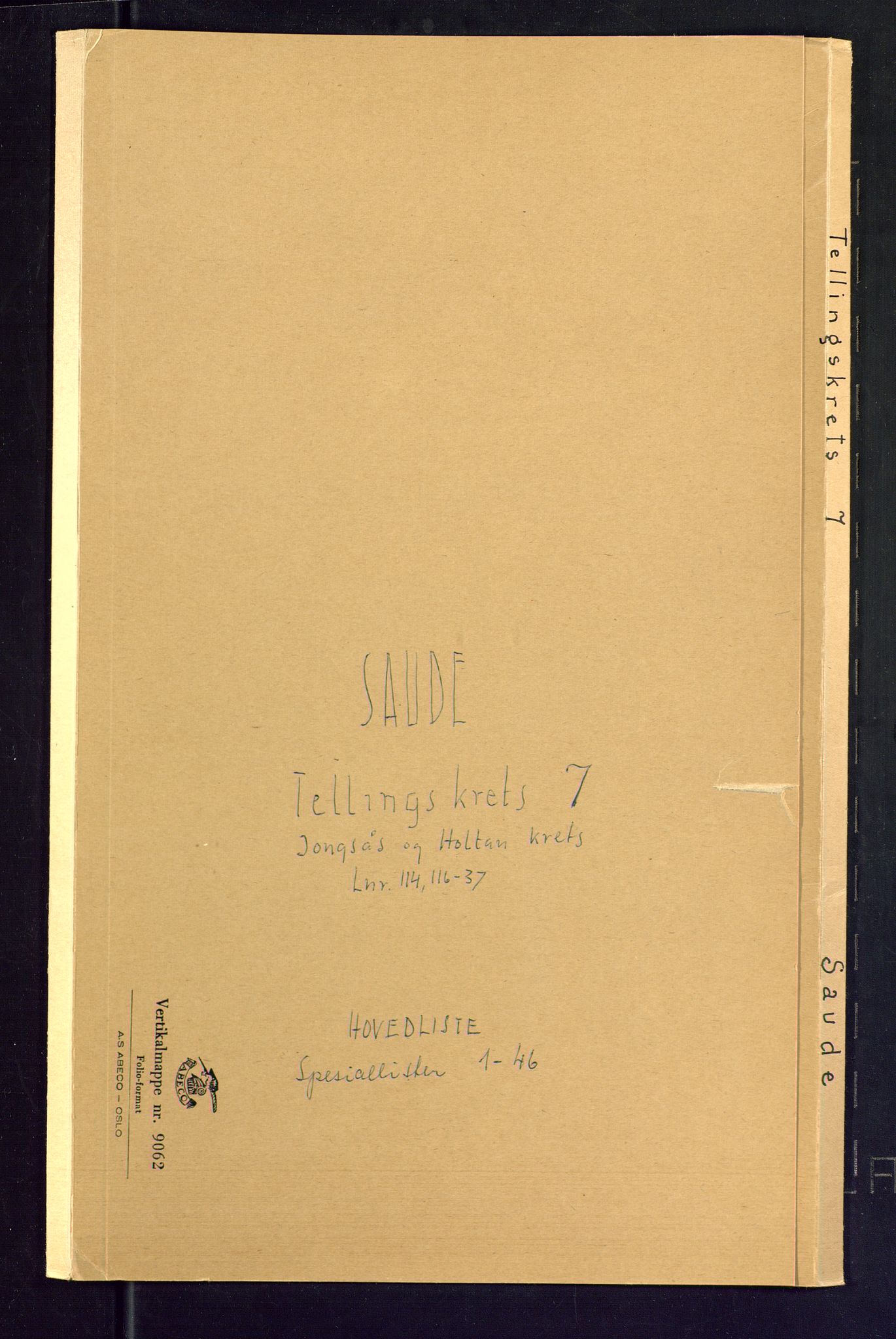 SAKO, Folketelling 1875 for 0822P Sauherad prestegjeld, 1875, s. 25