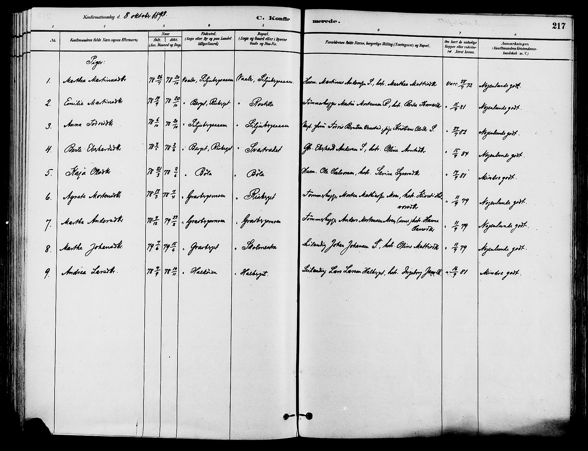 Våler prestekontor, Hedmark, AV/SAH-PREST-040/H/Ha/Haa/L0002: Ministerialbok nr. 3, 1879-1911, s. 217