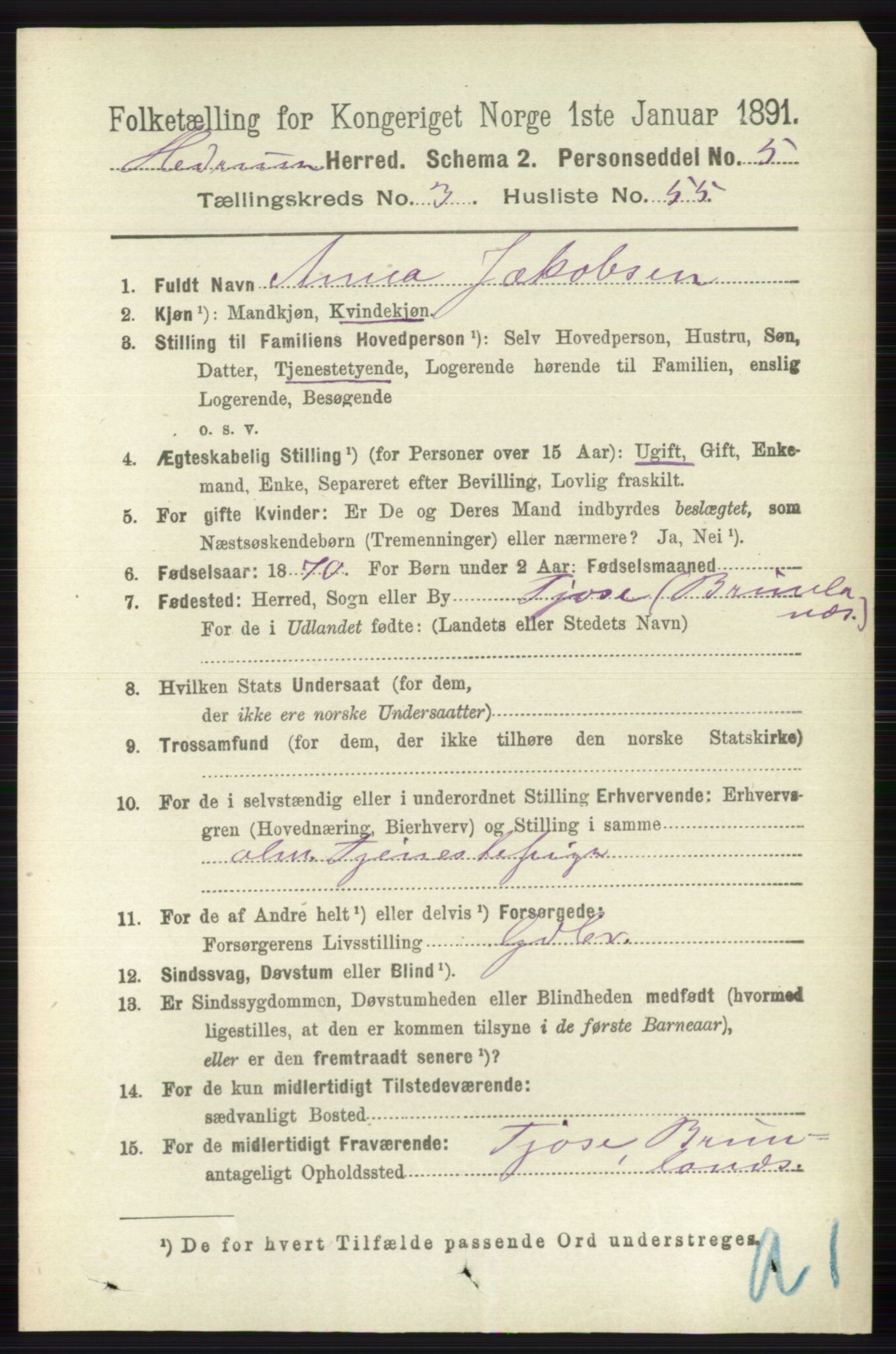 RA, Folketelling 1891 for 0727 Hedrum herred, 1891, s. 1292