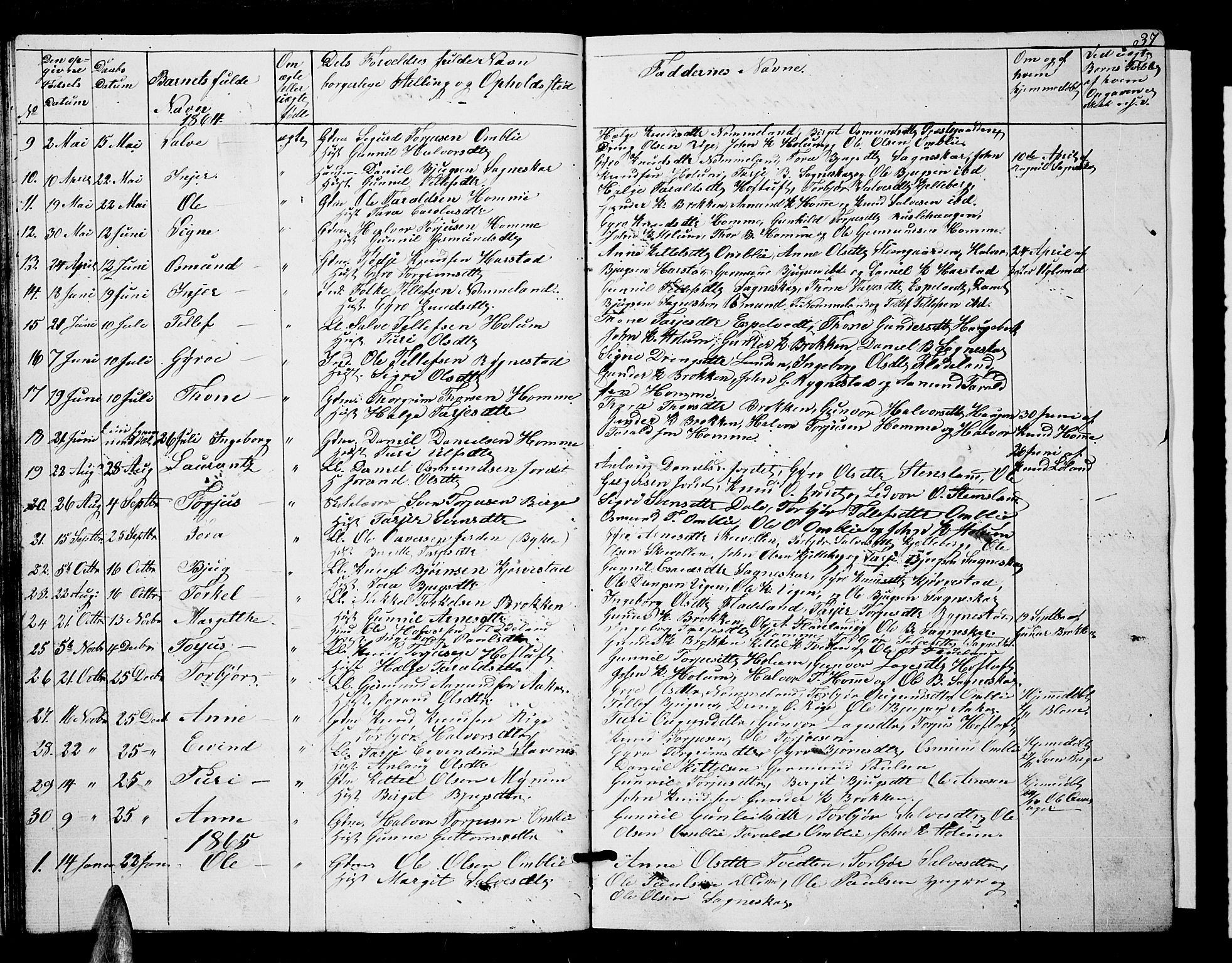 Valle sokneprestkontor, AV/SAK-1111-0044/F/Fb/Fbc/L0002: Klokkerbok nr. B 2, 1848-1870, s. 37
