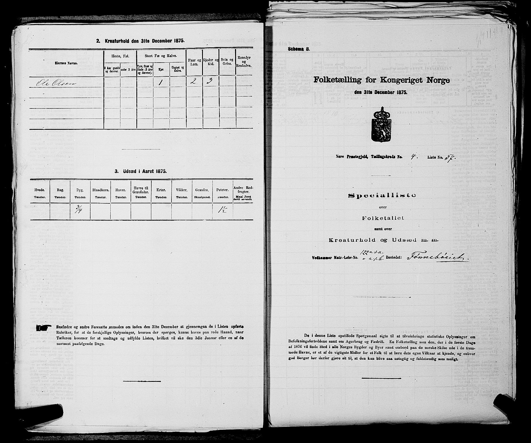 SAKO, Folketelling 1875 for 0633P Nore prestegjeld, 1875, s. 506