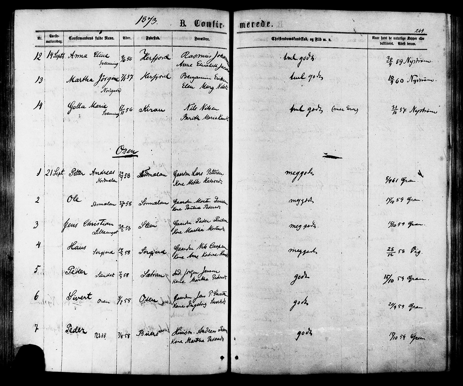 Ministerialprotokoller, klokkerbøker og fødselsregistre - Sør-Trøndelag, SAT/A-1456/657/L0706: Ministerialbok nr. 657A07, 1867-1878, s. 249