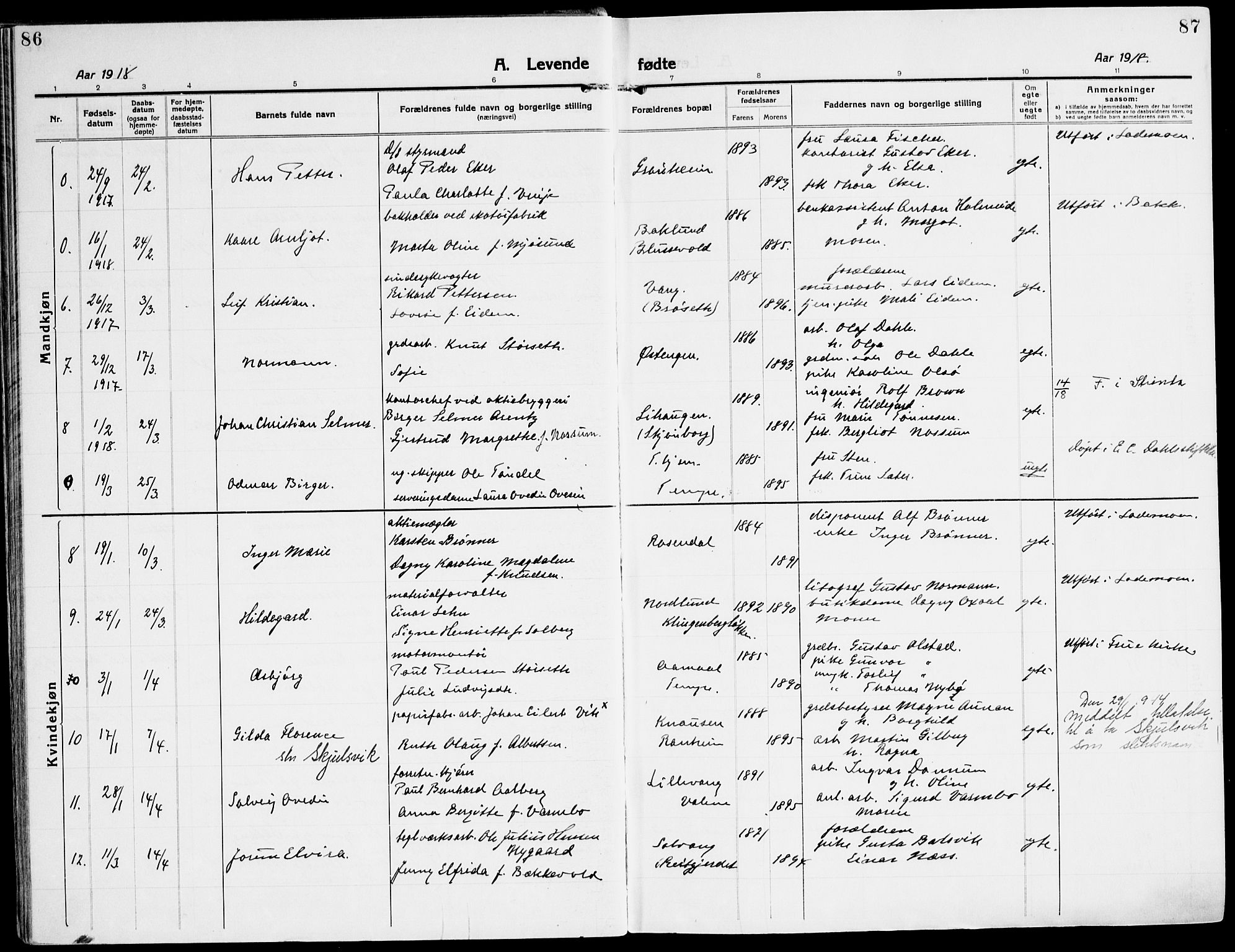 Ministerialprotokoller, klokkerbøker og fødselsregistre - Sør-Trøndelag, SAT/A-1456/607/L0321: Ministerialbok nr. 607A05, 1916-1935, s. 86-87