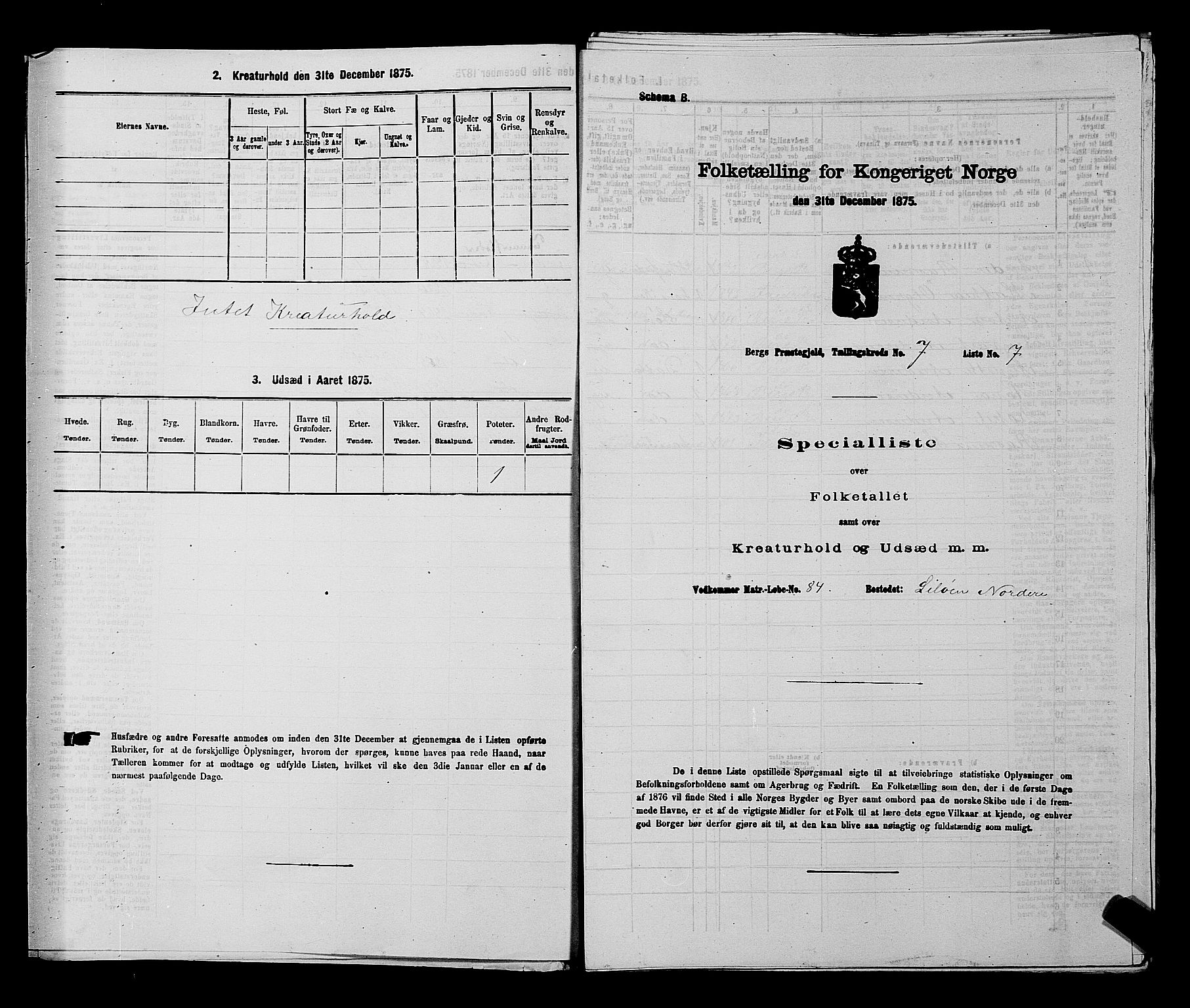 RA, Folketelling 1875 for 0116P Berg prestegjeld, 1875, s. 1075