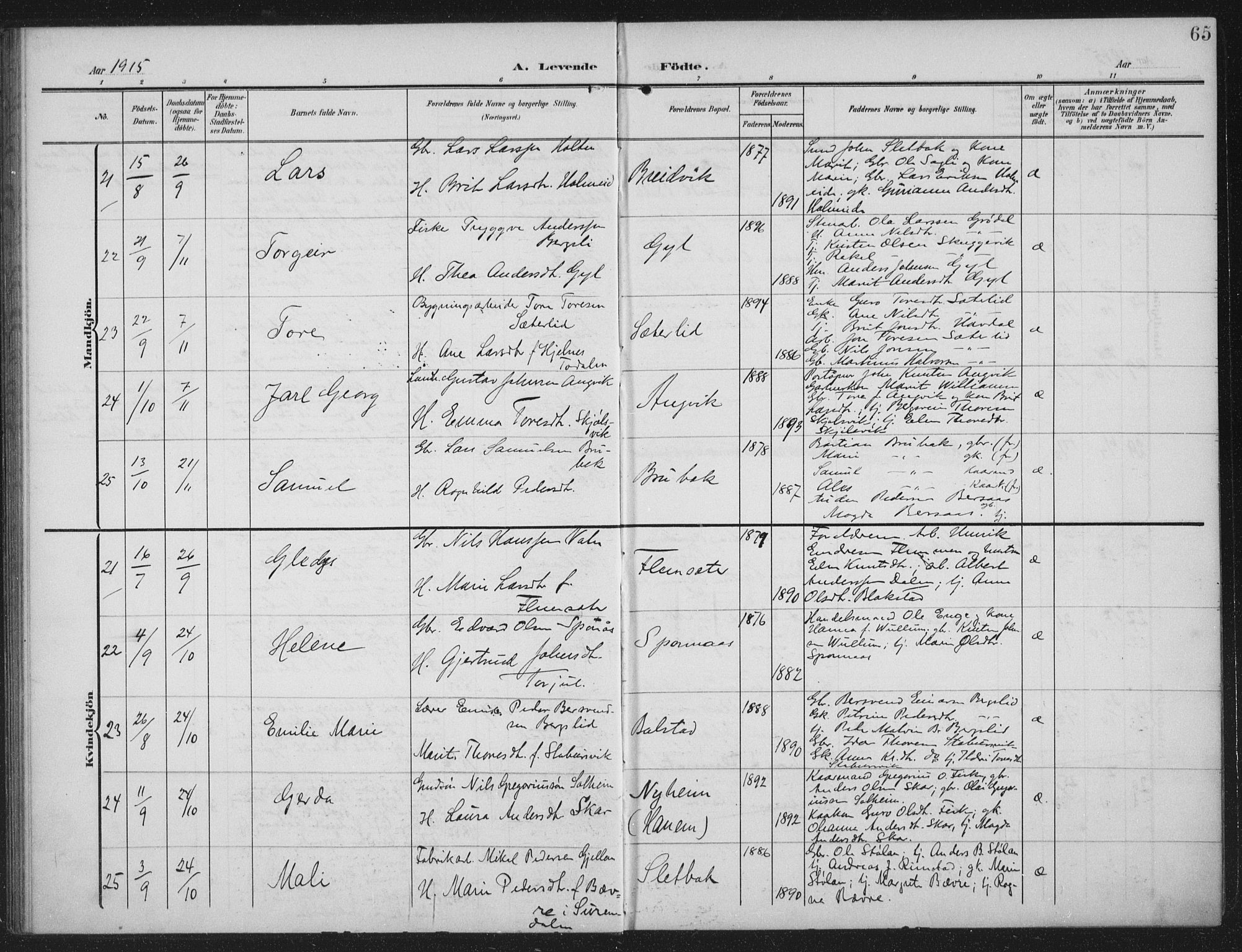 Ministerialprotokoller, klokkerbøker og fødselsregistre - Møre og Romsdal, AV/SAT-A-1454/586/L0989: Ministerialbok nr. 586A15, 1906-1915, s. 65