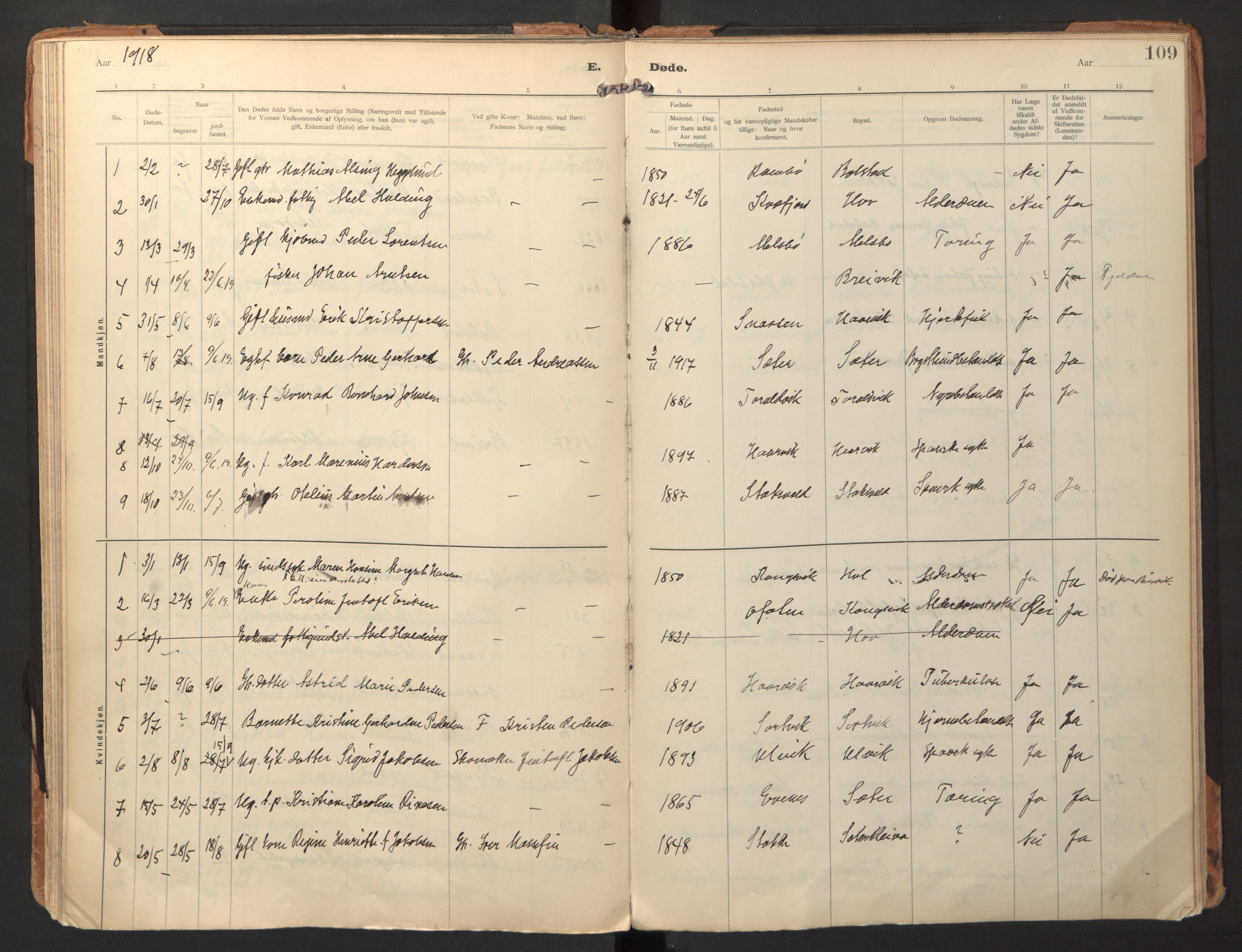 Ministerialprotokoller, klokkerbøker og fødselsregistre - Nordland, AV/SAT-A-1459/865/L0928: Ministerialbok nr. 865A06, 1913-1926, s. 109