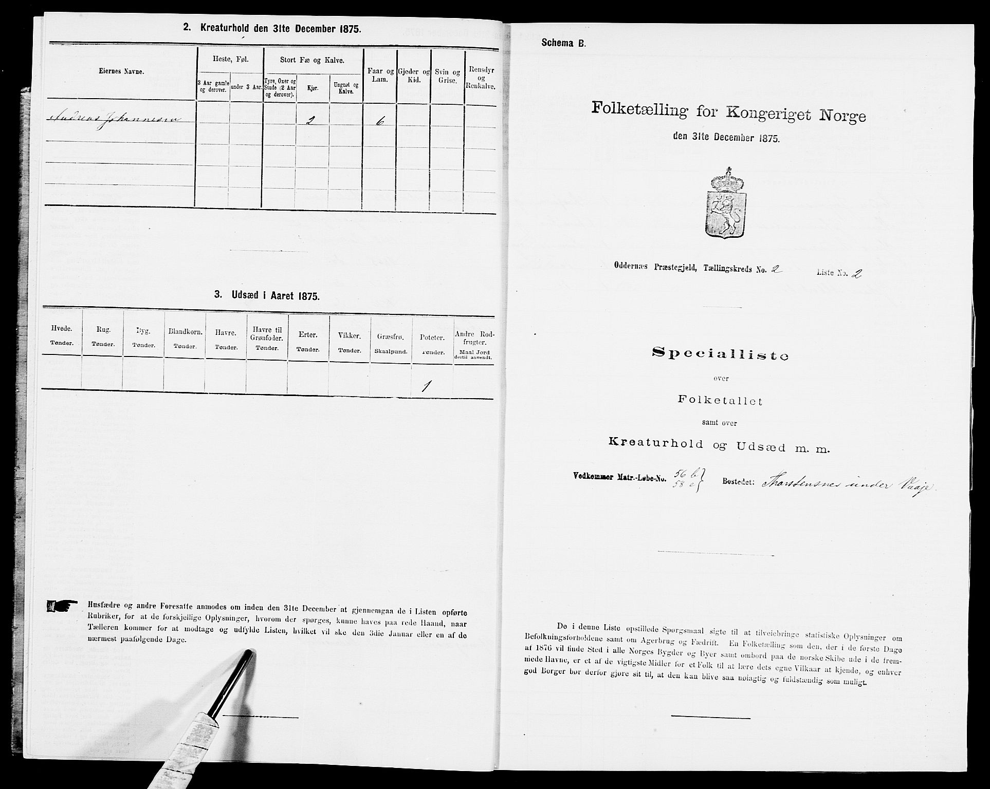 SAK, Folketelling 1875 for 1012P Oddernes prestegjeld, 1875, s. 276