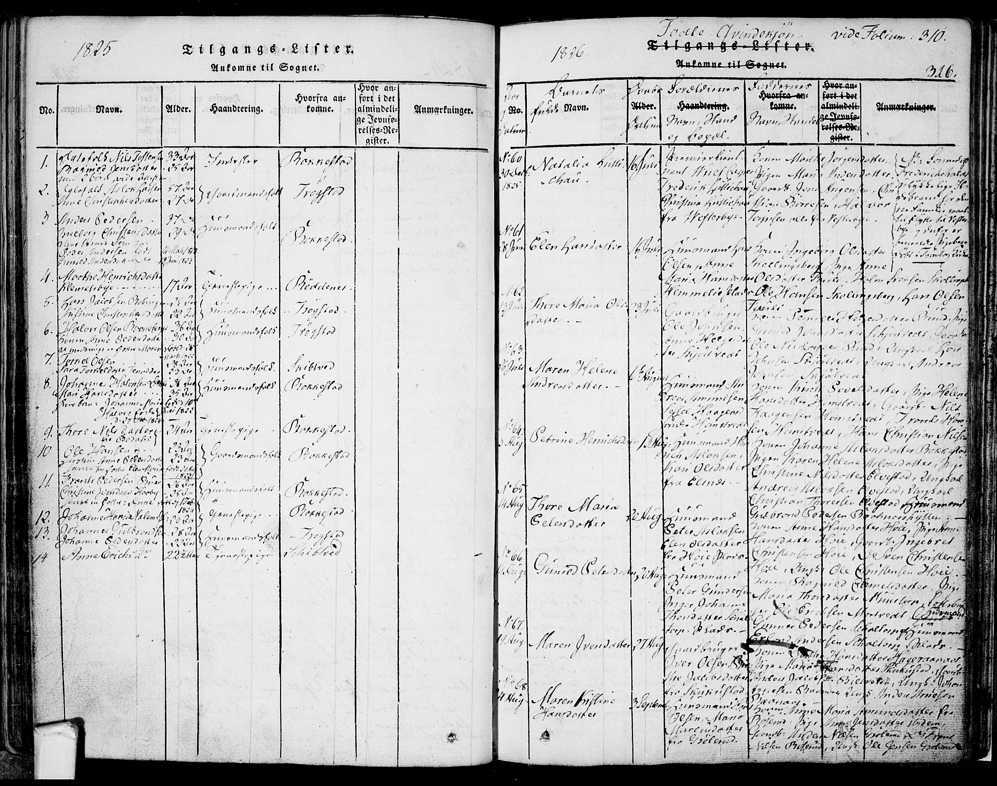 Eidsberg prestekontor Kirkebøker, AV/SAO-A-10905/F/Fa/L0007: Ministerialbok nr. I 7, 1814-1832, s. 316