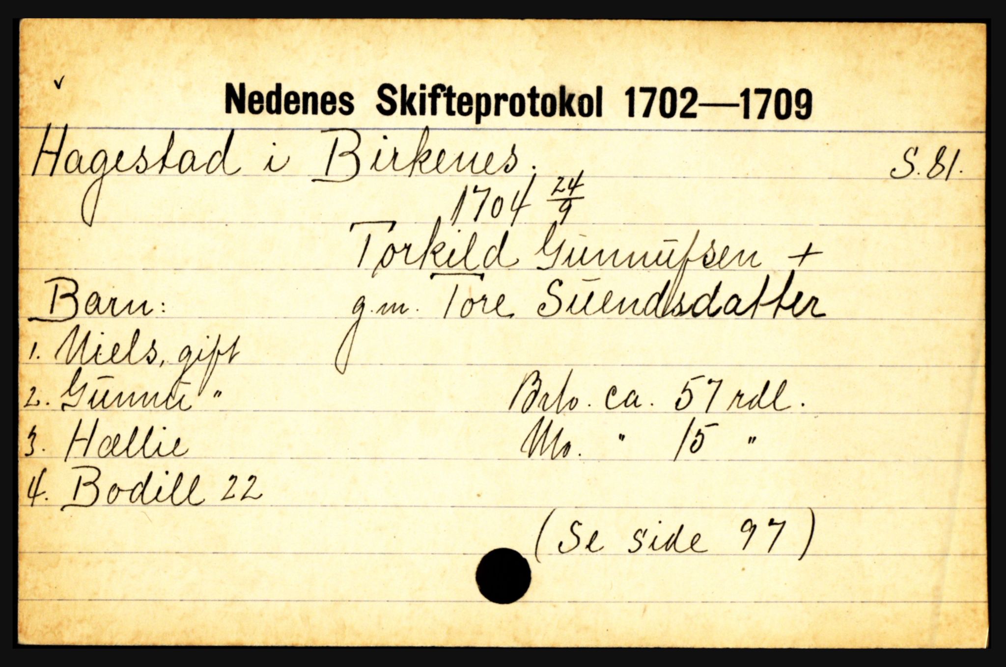 Nedenes sorenskriveri før 1824, AV/SAK-1221-0007/H, s. 10799