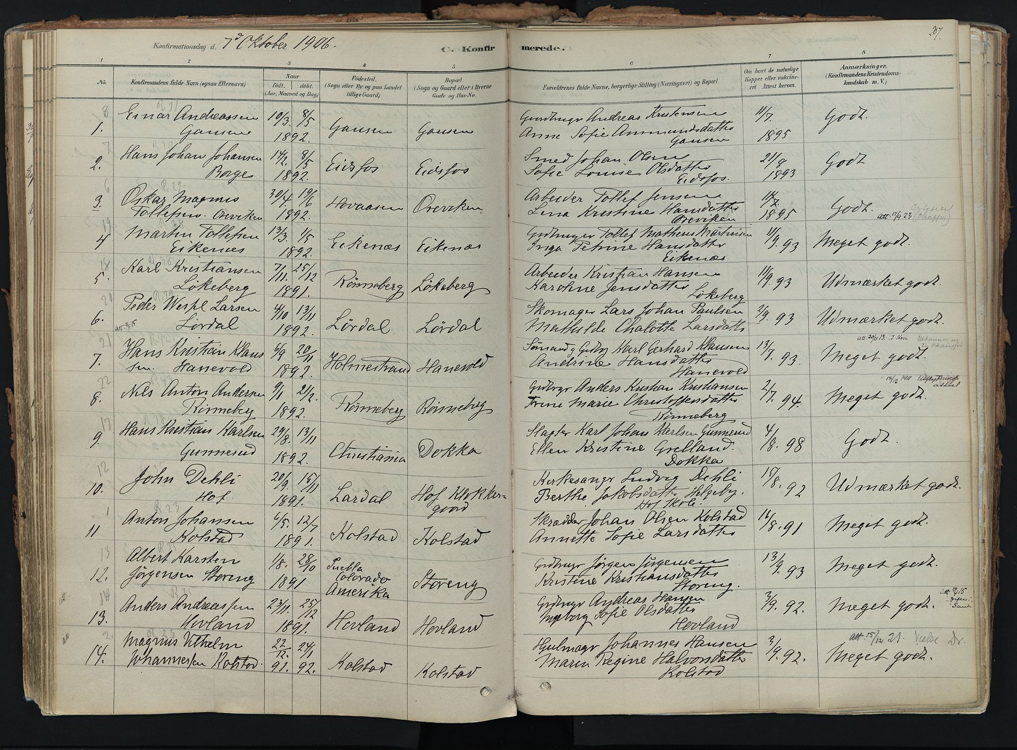 Hof kirkebøker, AV/SAKO-A-64/F/Fa/L0007: Ministerialbok nr. I 7, 1878-1940, s. 207