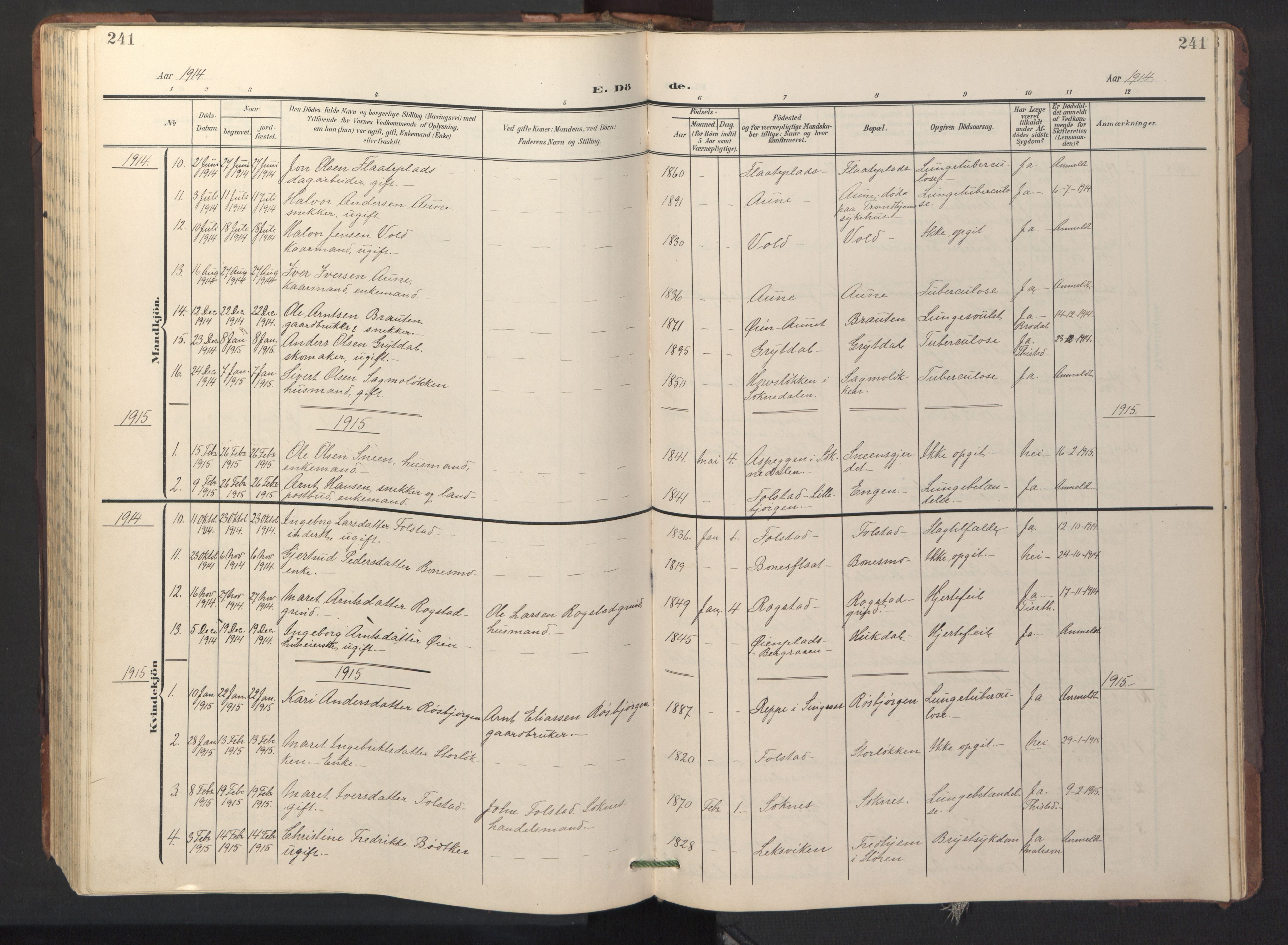 Ministerialprotokoller, klokkerbøker og fødselsregistre - Sør-Trøndelag, AV/SAT-A-1456/687/L1019: Klokkerbok nr. 687C03, 1904-1931, s. 241