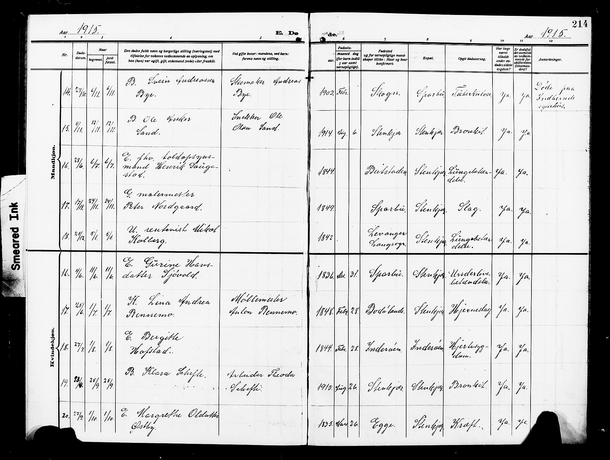 Ministerialprotokoller, klokkerbøker og fødselsregistre - Nord-Trøndelag, AV/SAT-A-1458/739/L0376: Klokkerbok nr. 739C04, 1908-1917, s. 214