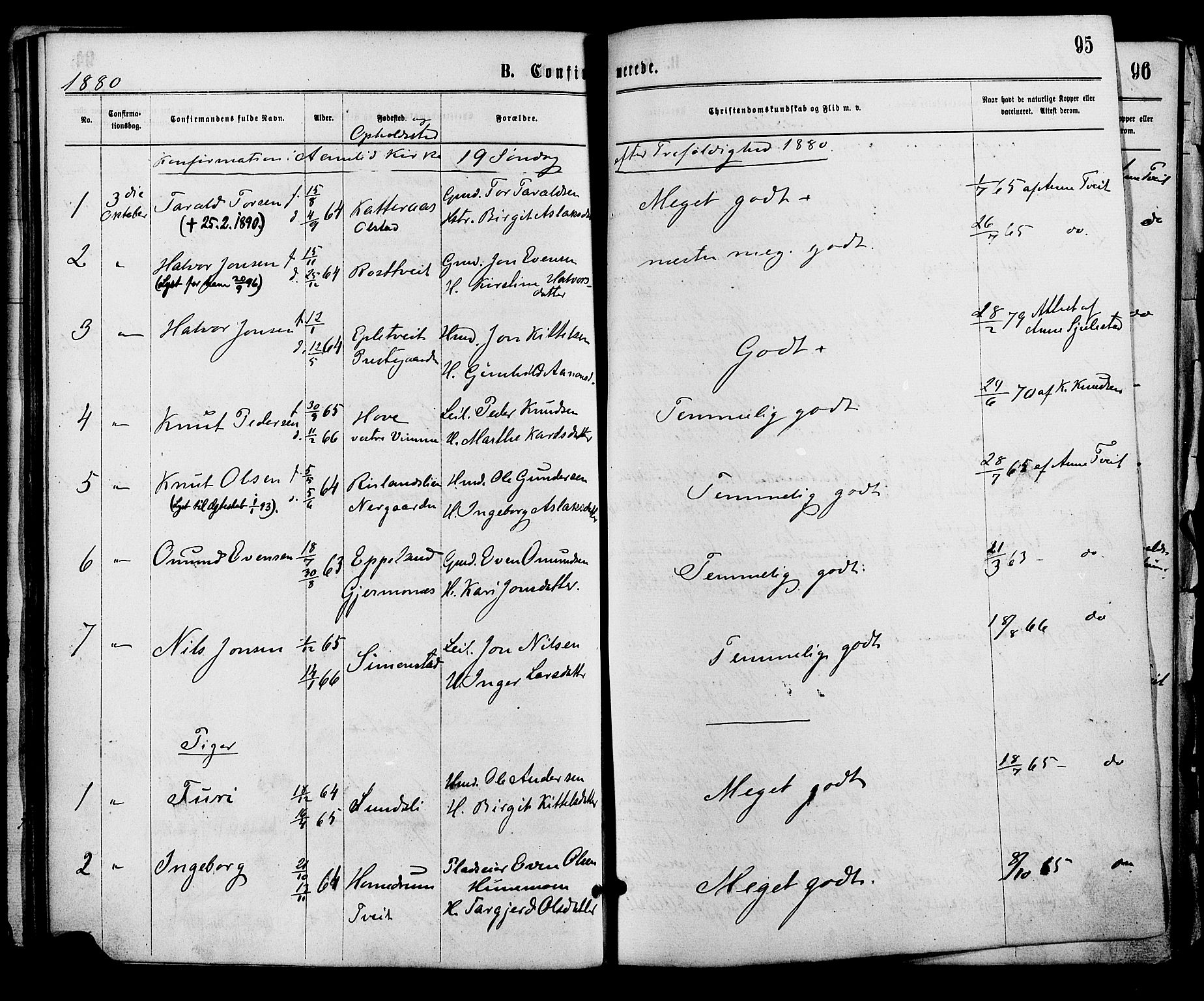 Åmli sokneprestkontor, SAK/1111-0050/F/Fa/Fac/L0009: Ministerialbok nr. A 9 /1, 1869-1884, s. 95