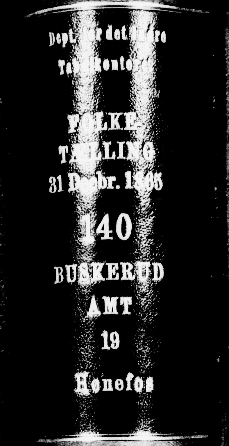 RA, Folketelling 1865 for 0601B Norderhov prestegjeld, Hønefoss kjøpstad, 1865, s. 2