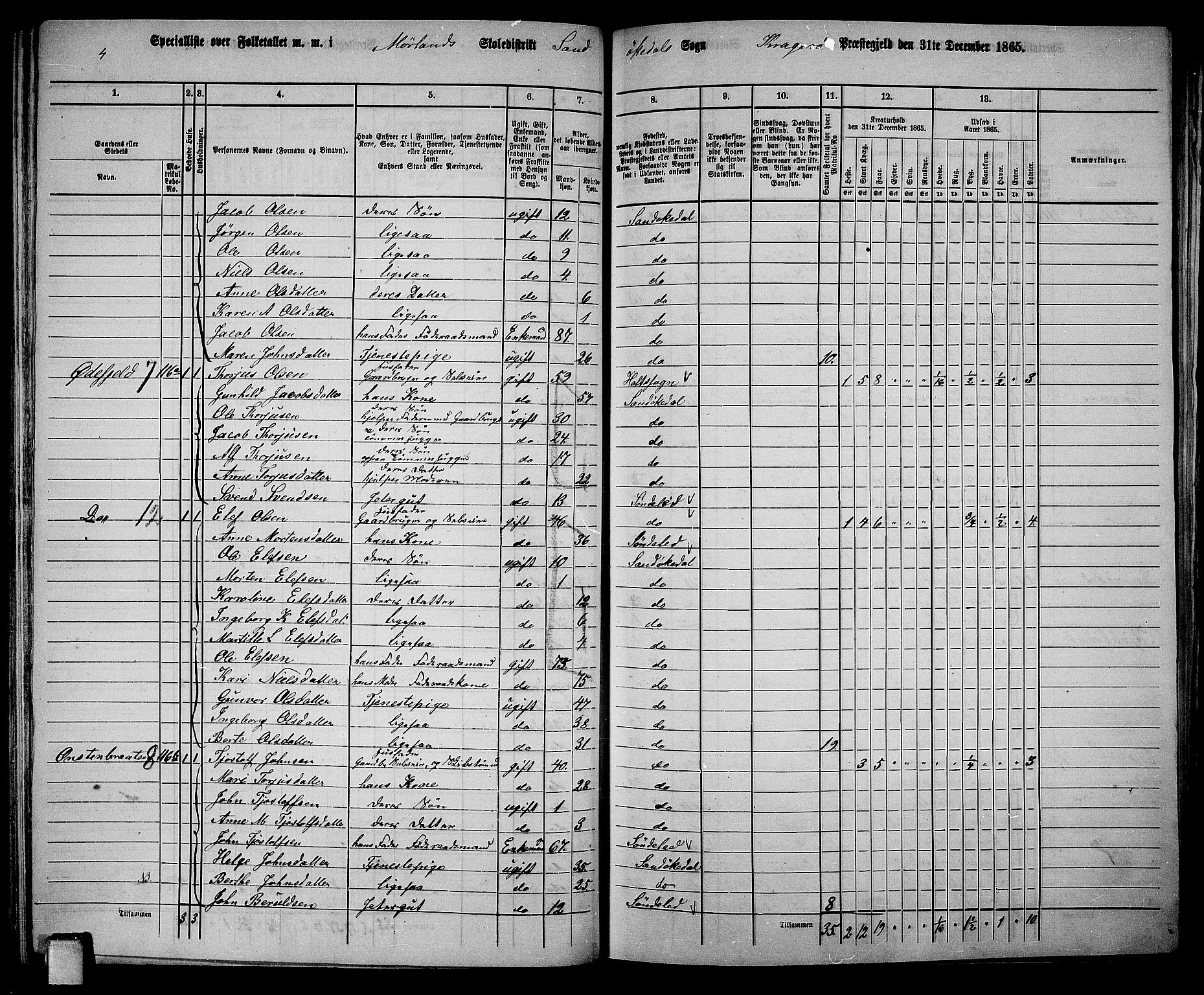 RA, Folketelling 1865 for 0816L Kragerø prestegjeld, Sannidal sokn og Skåtøy sokn, 1865, s. 68