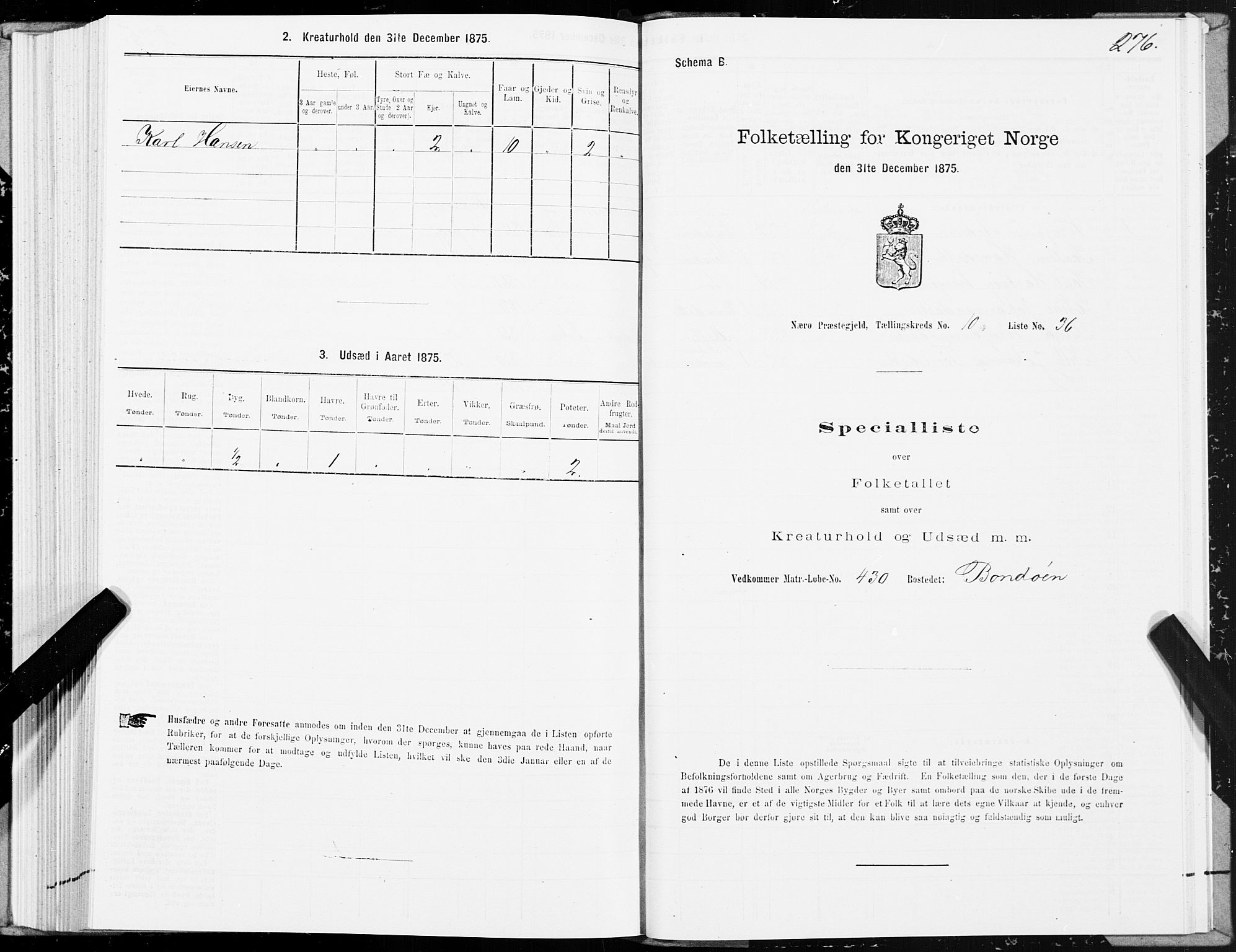 SAT, Folketelling 1875 for 1751P Nærøy prestegjeld, 1875, s. 4276
