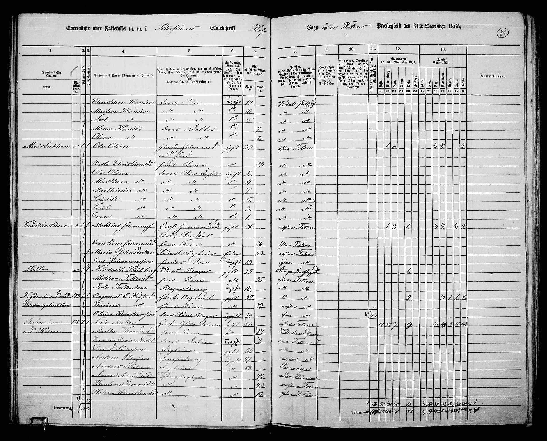 RA, Folketelling 1865 for 0528P Østre Toten prestegjeld, 1865, s. 206