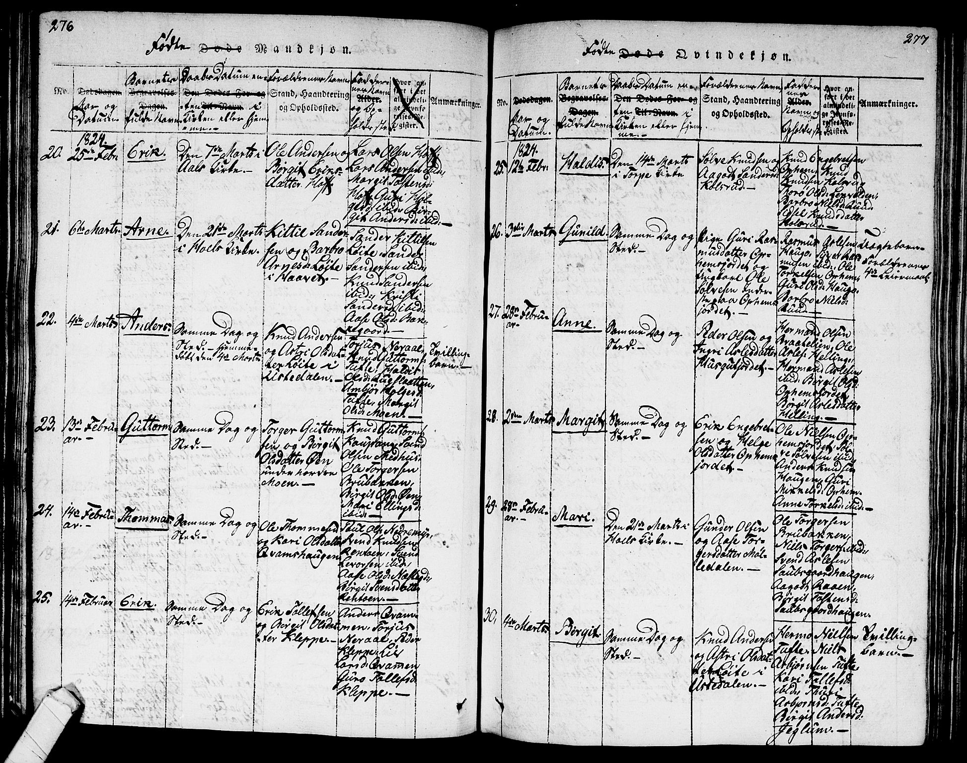 Ål kirkebøker, AV/SAKO-A-249/G/Ga/L0001: Klokkerbok nr. 1, 1815-1829, s. 276-277