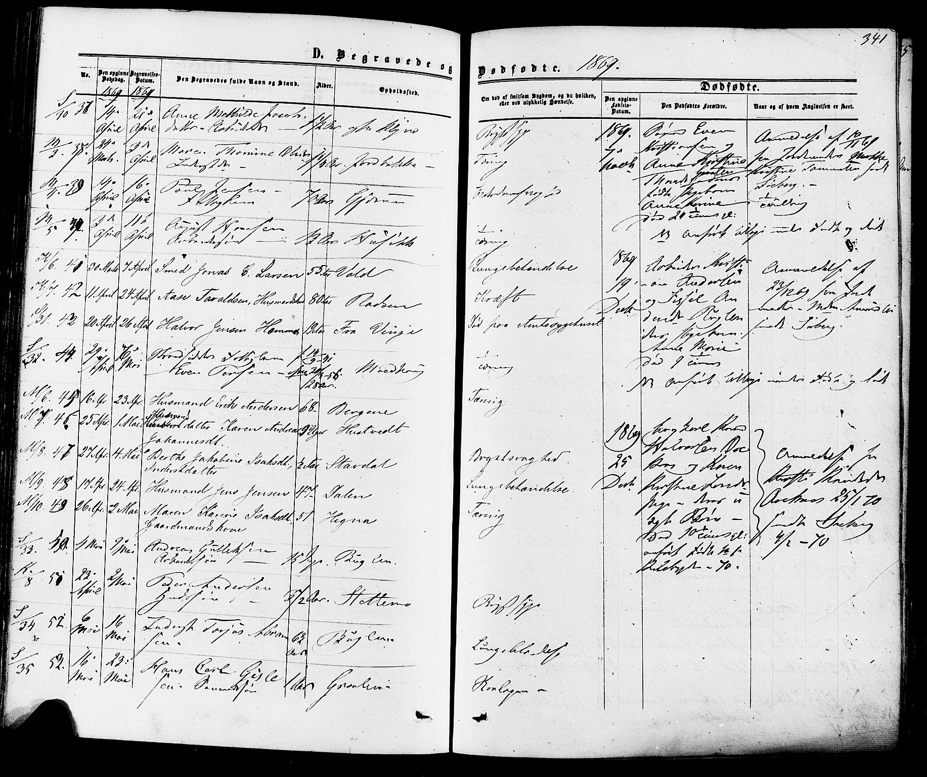 Solum kirkebøker, AV/SAKO-A-306/F/Fa/L0008: Ministerialbok nr. I 8, 1865-1876, s. 341
