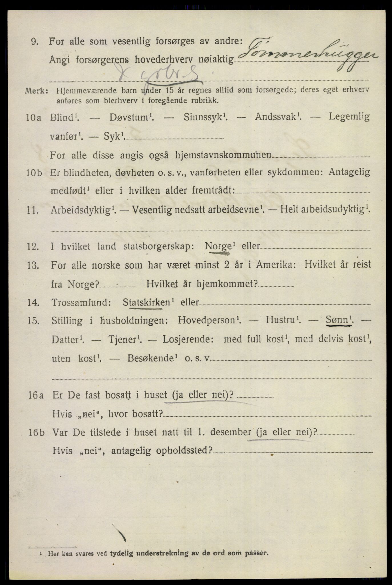 SAKO, Folketelling 1920 for 0621 Sigdal herred, 1920, s. 6099