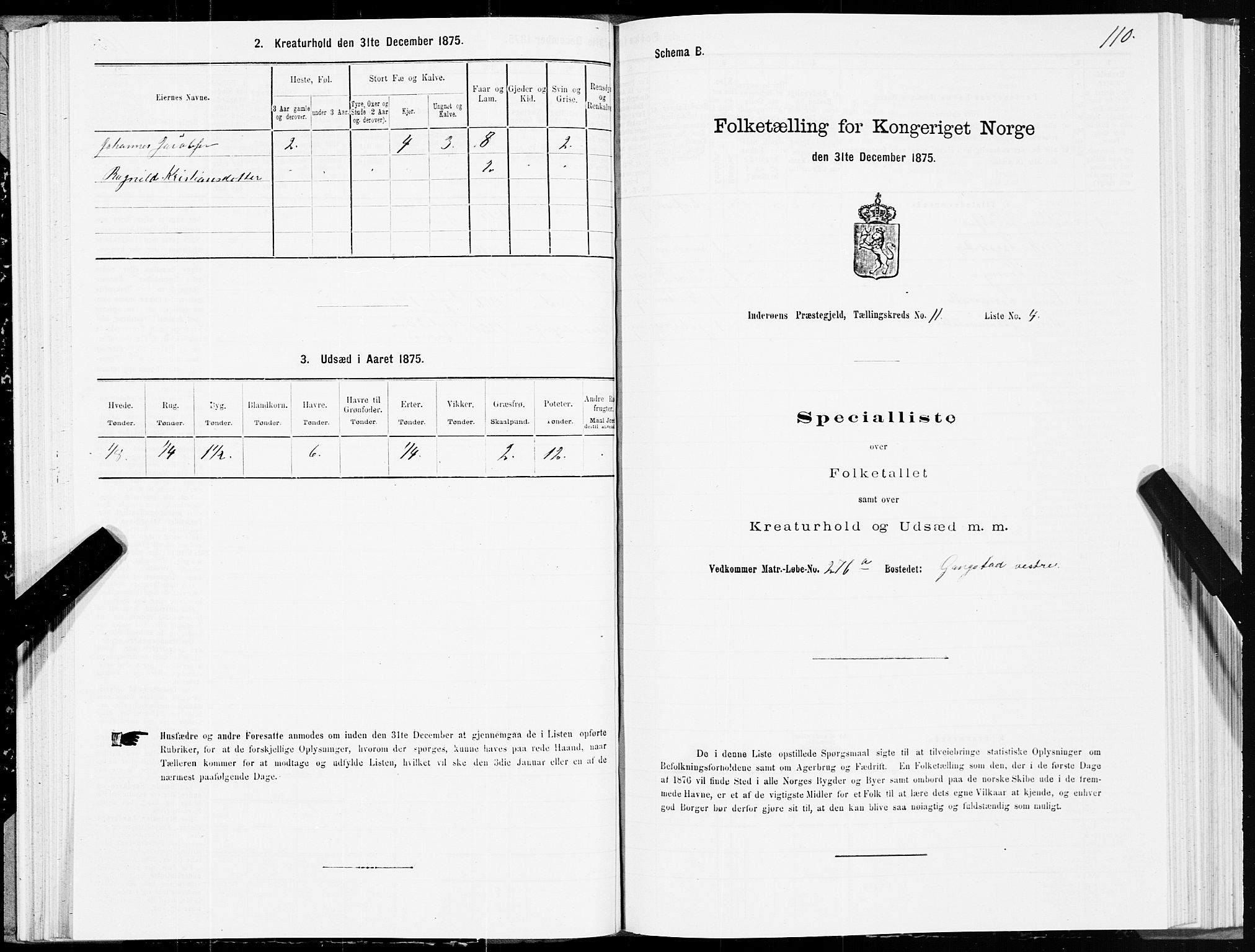 SAT, Folketelling 1875 for 1729P Inderøy prestegjeld, 1875, s. 6110