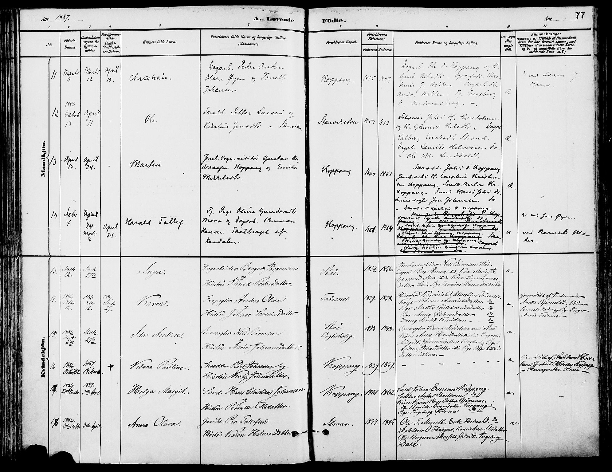 Stor-Elvdal prestekontor, SAH/PREST-052/H/Ha/Haa/L0002: Ministerialbok nr. 2, 1882-1907, s. 77