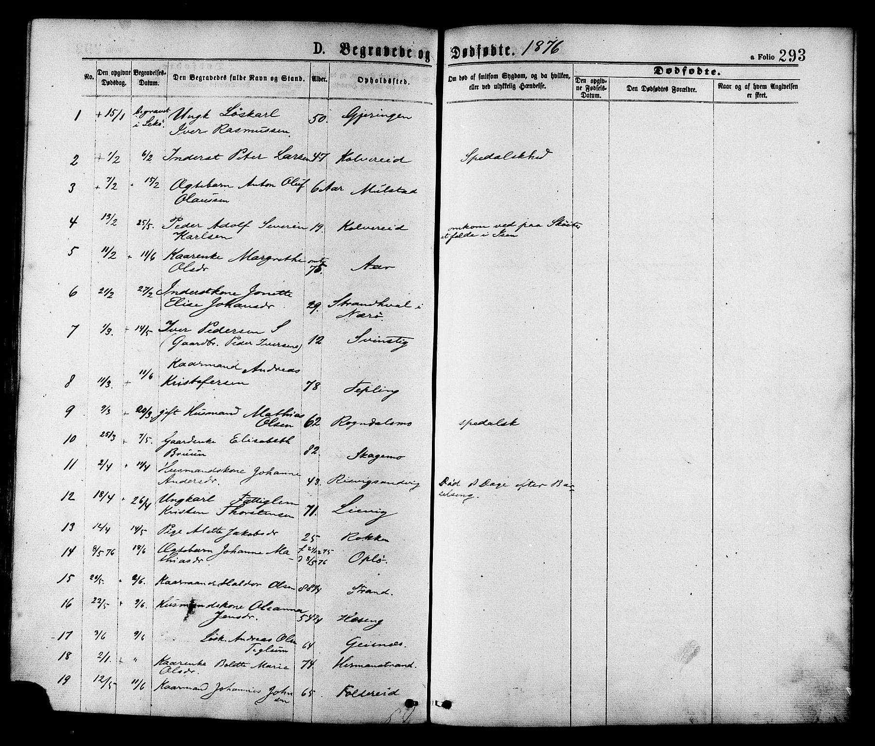 Ministerialprotokoller, klokkerbøker og fødselsregistre - Nord-Trøndelag, SAT/A-1458/780/L0642: Ministerialbok nr. 780A07 /1, 1874-1885, s. 293