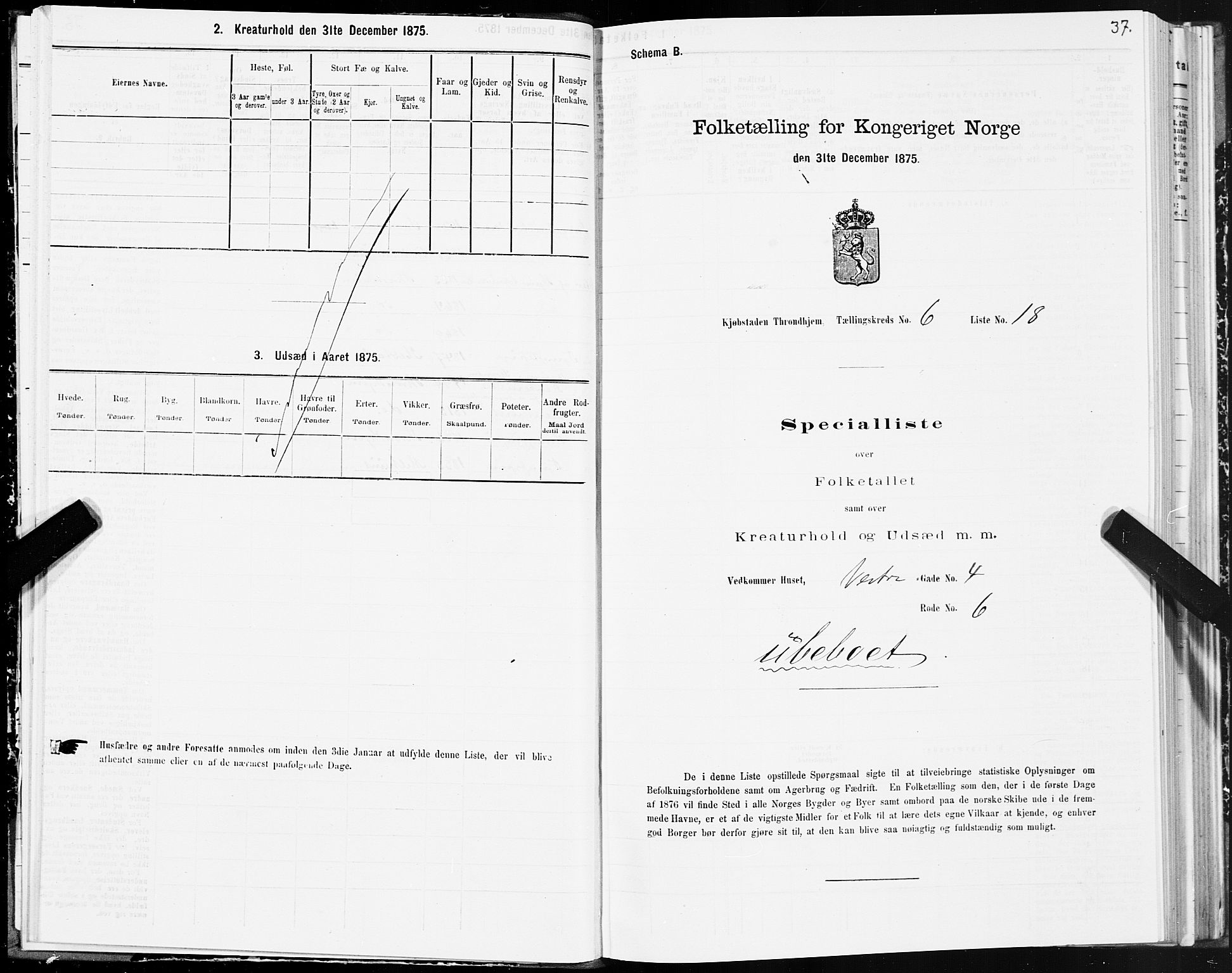 SAT, Folketelling 1875 for 1601 Trondheim kjøpstad, 1875, s. 4037