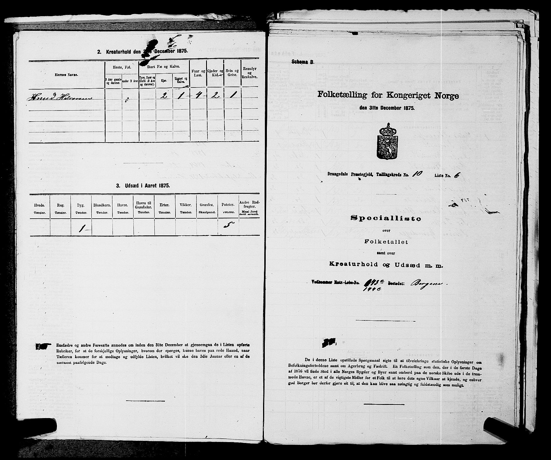 SAKO, Folketelling 1875 for 0817P Drangedal prestegjeld, 1875, s. 1015