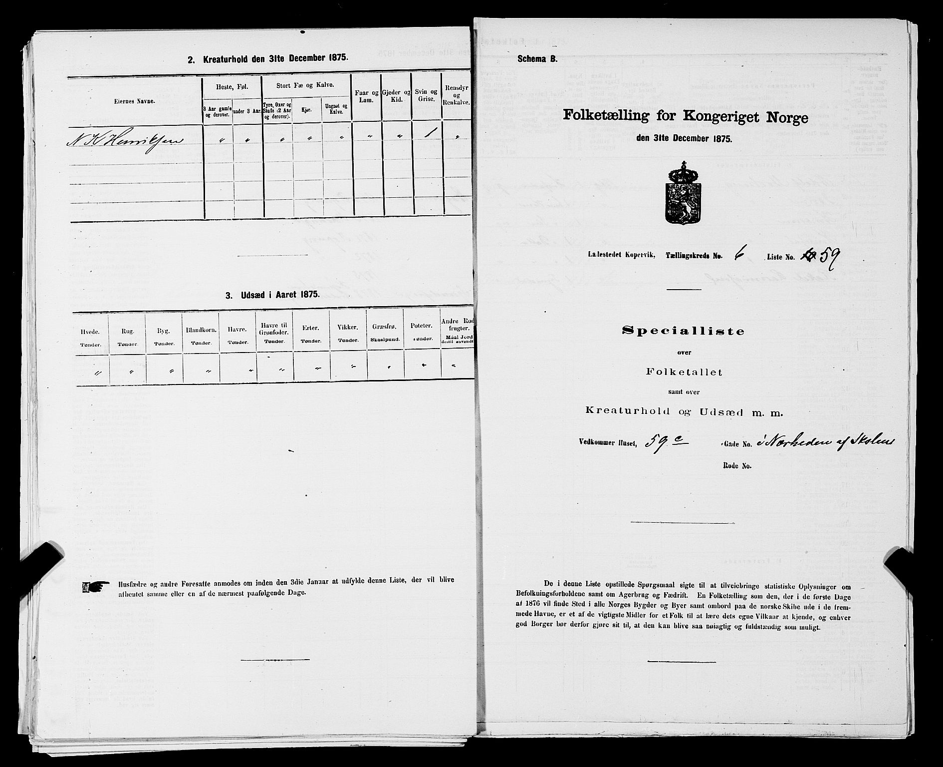 SAST, Folketelling 1875 for 1105B Avaldsnes prestegjeld, Kopervik ladested, 1875, s. 116