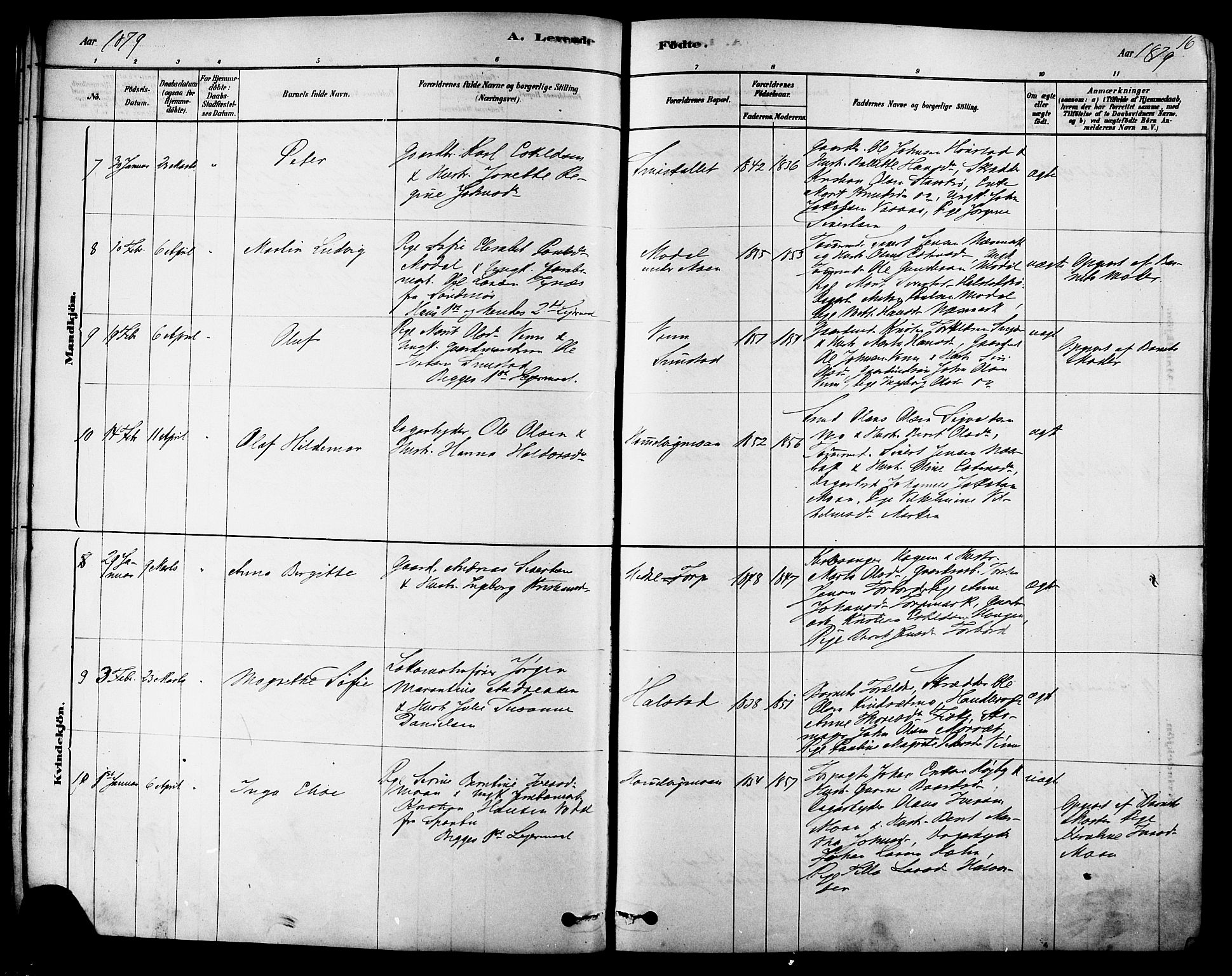 Ministerialprotokoller, klokkerbøker og fødselsregistre - Sør-Trøndelag, SAT/A-1456/616/L0410: Ministerialbok nr. 616A07, 1878-1893, s. 16