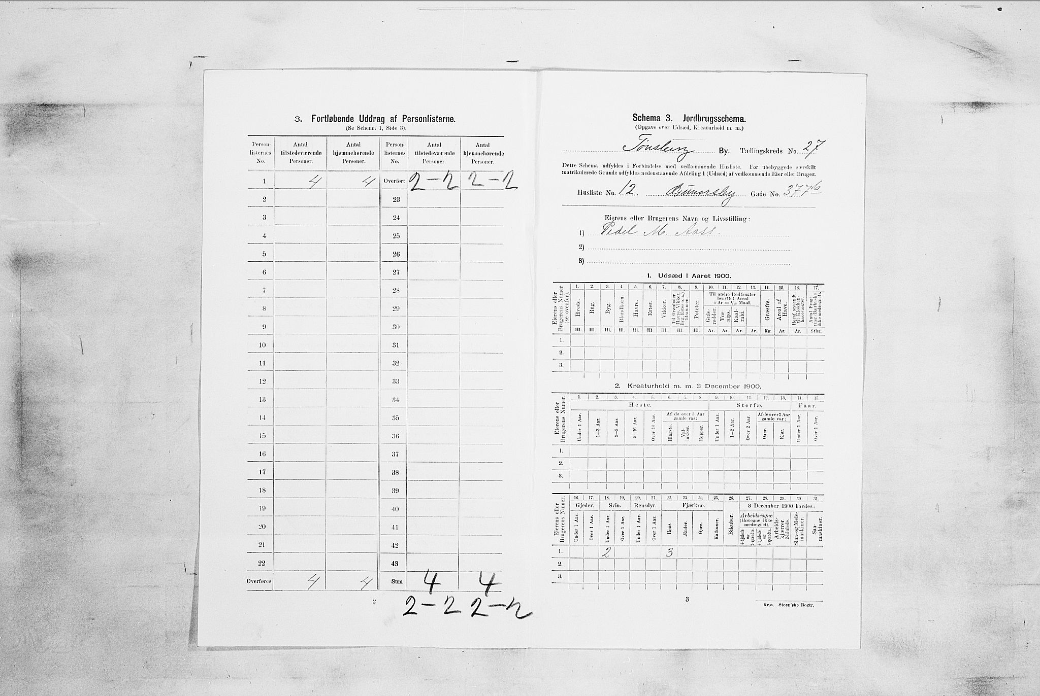 RA, Folketelling 1900 for 0705 Tønsberg kjøpstad, 1900, s. 4241