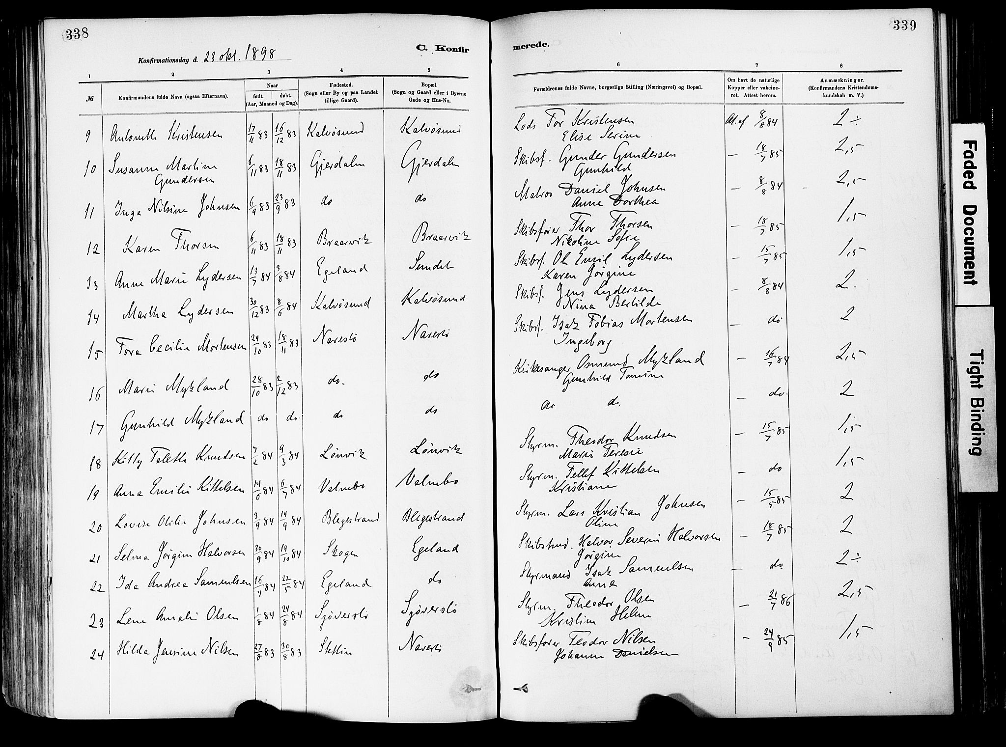 Dypvåg sokneprestkontor, AV/SAK-1111-0007/F/Fa/Fab/L0001: Ministerialbok nr. A 1, 1885-1912, s. 338-339