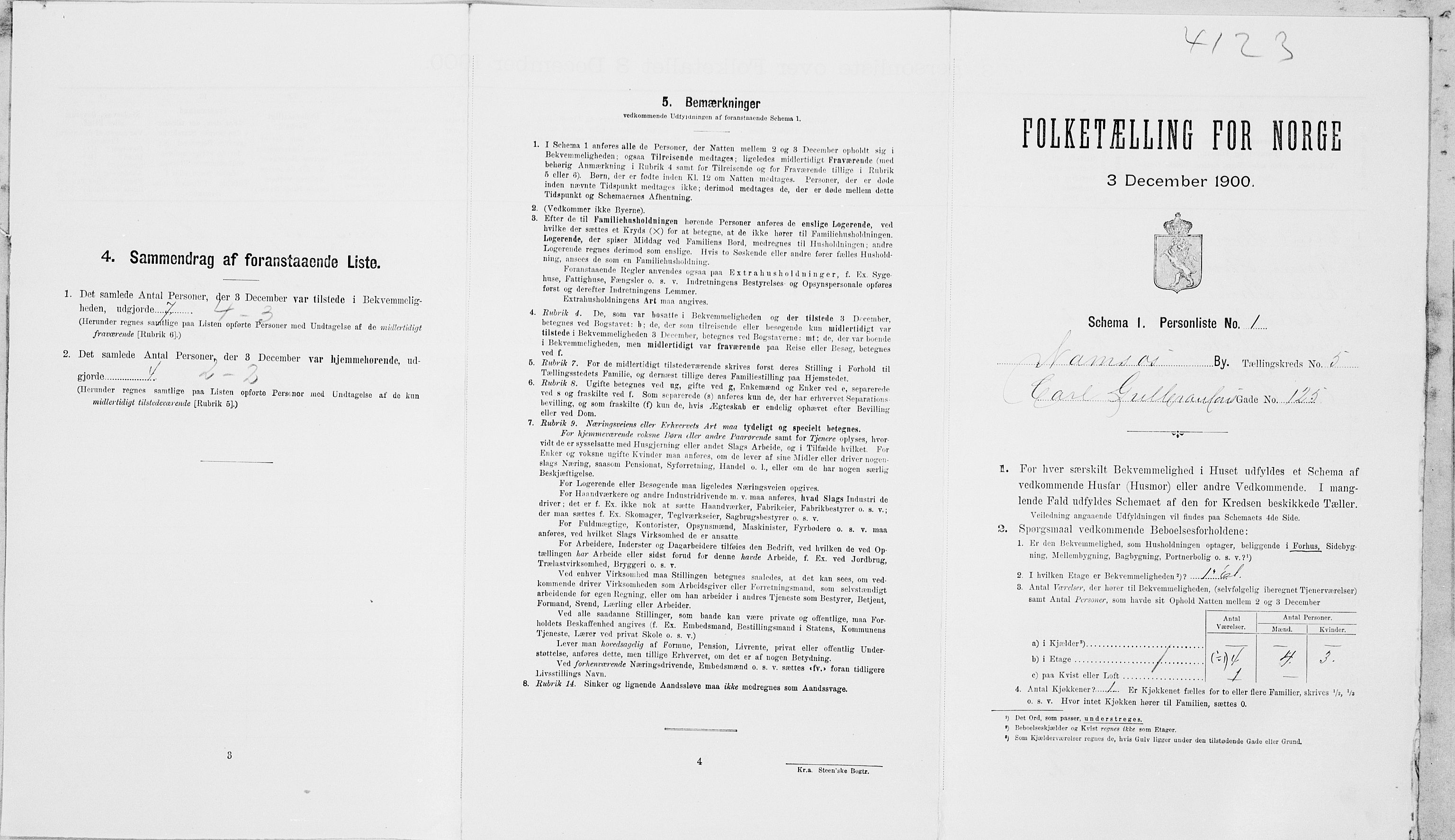 SAT, Folketelling 1900 for 1703 Namsos ladested, 1900, s. 961