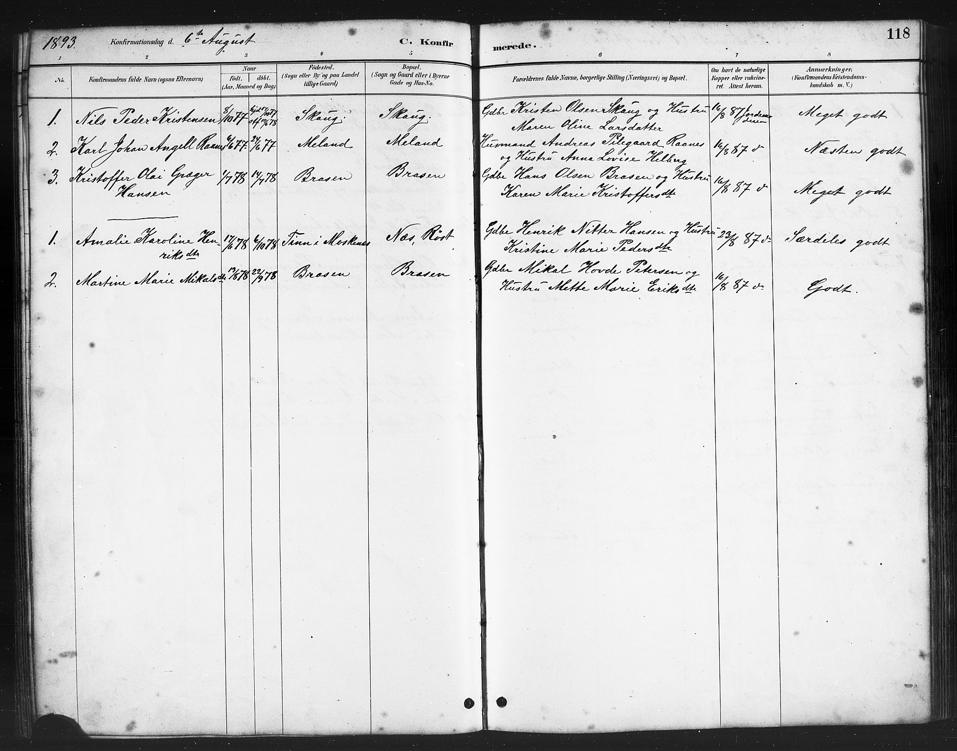 Ministerialprotokoller, klokkerbøker og fødselsregistre - Nordland, AV/SAT-A-1459/808/L0131: Klokkerbok nr. 808C02, 1879-1919, s. 118