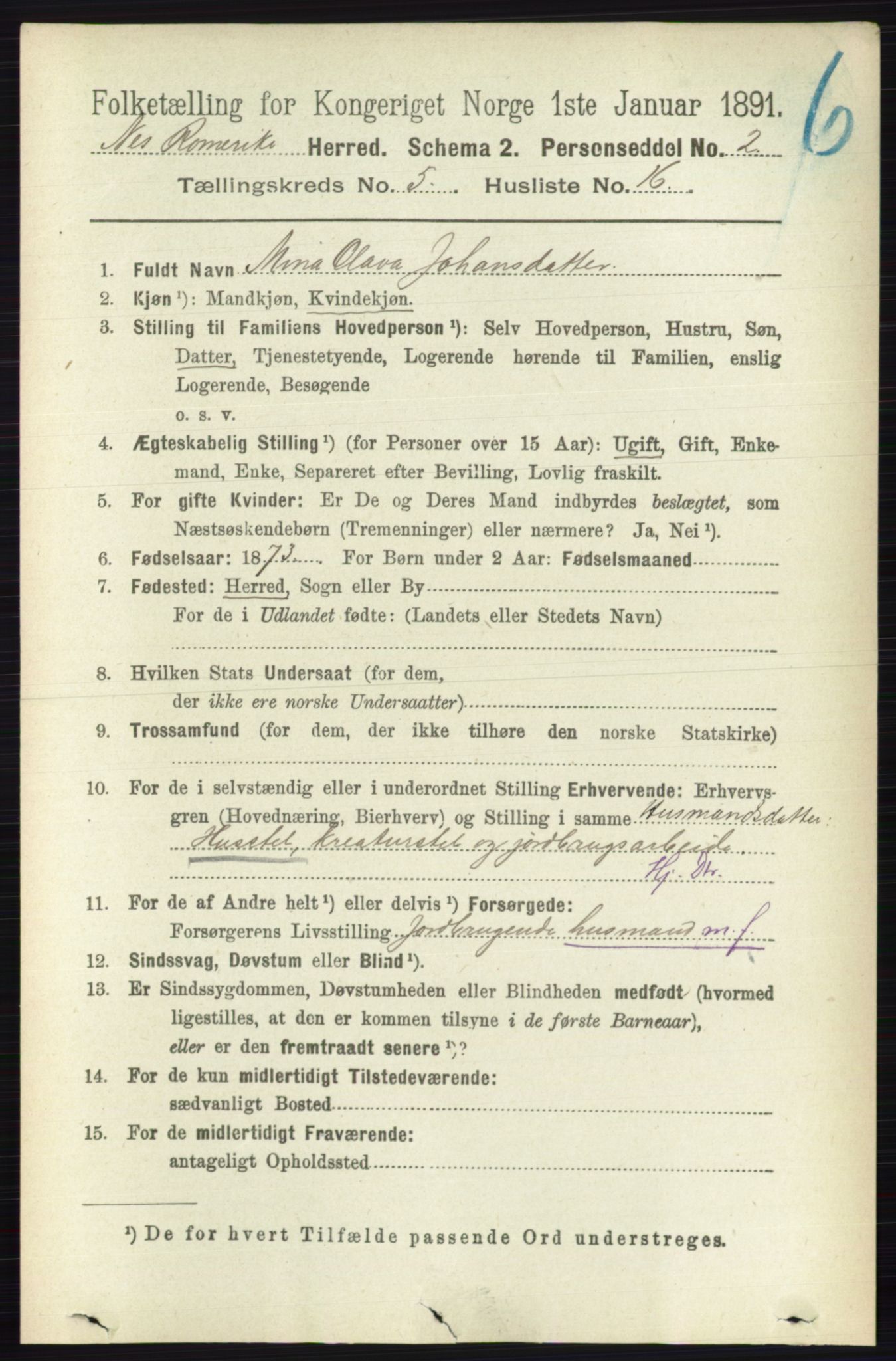 RA, Folketelling 1891 for 0236 Nes herred, 1891, s. 2879
