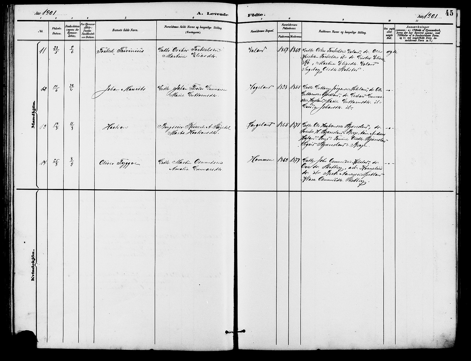 Holum sokneprestkontor, SAK/1111-0022/F/Fb/Fba/L0005: Klokkerbok nr. B 5, 1891-1909, s. 45