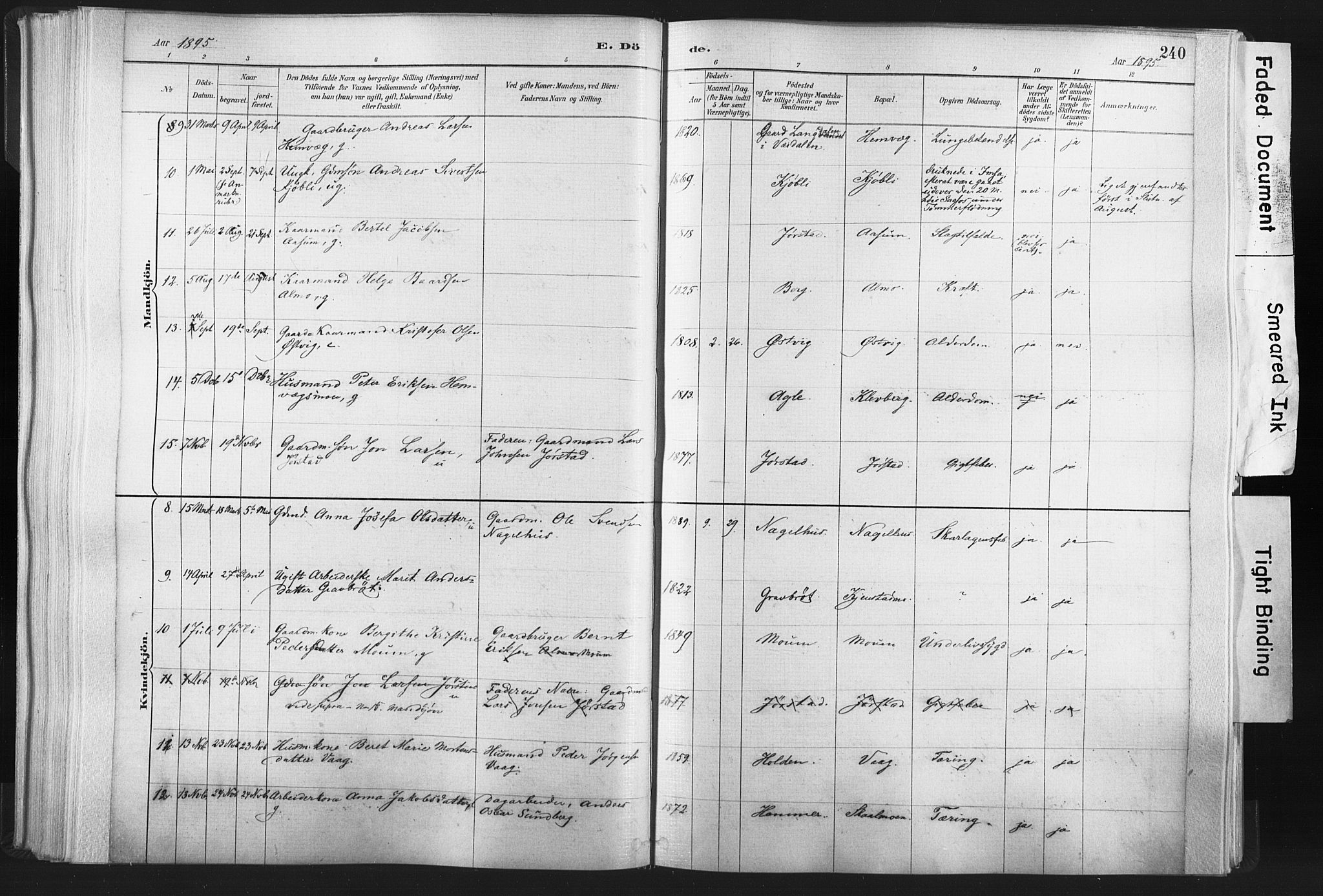 Ministerialprotokoller, klokkerbøker og fødselsregistre - Nord-Trøndelag, SAT/A-1458/749/L0474: Ministerialbok nr. 749A08, 1887-1903, s. 240